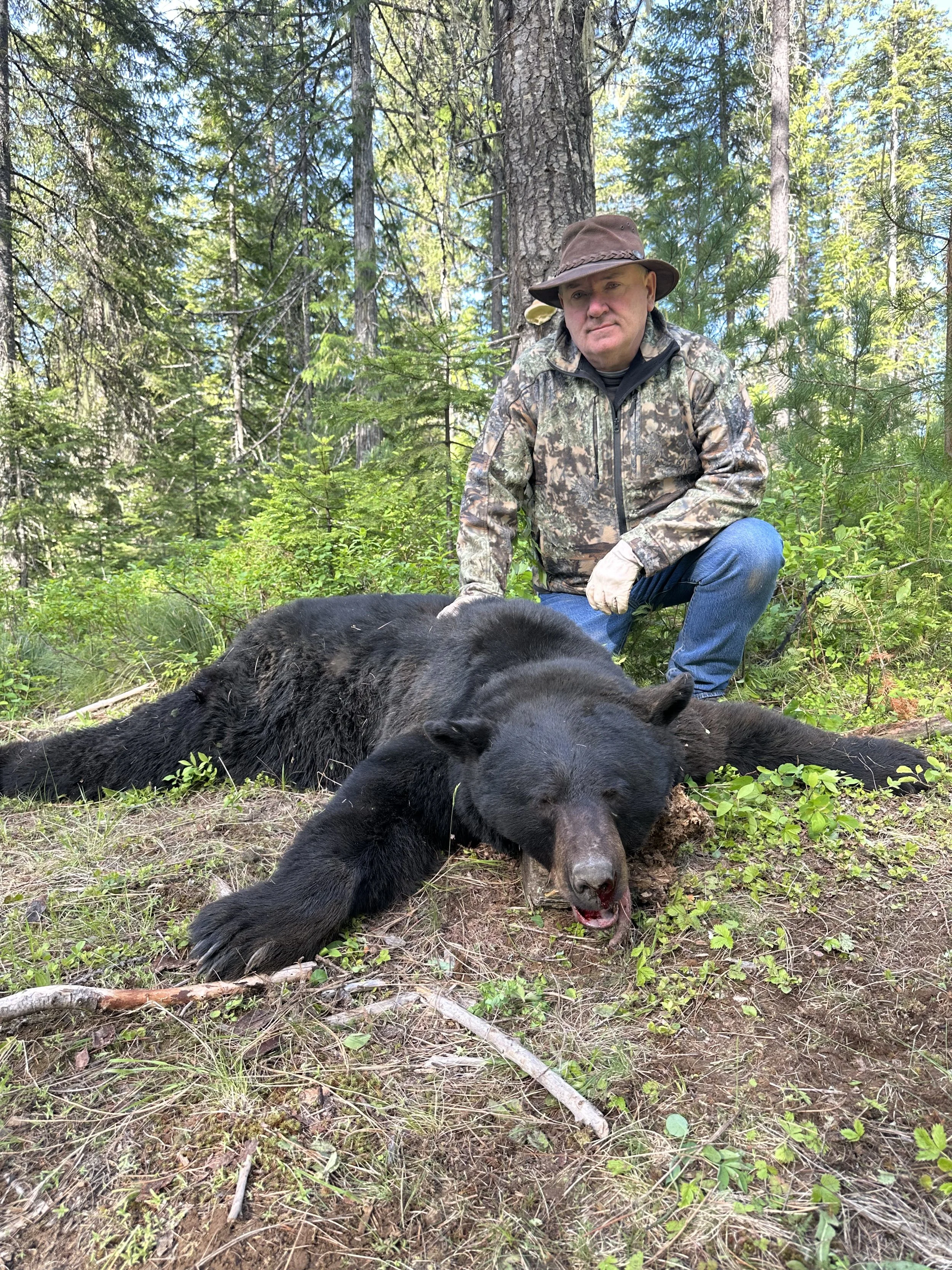 A man in camouflage clothing and a hat kneels in a forest beside a dead black bear, which is lying on the ground with its eyes closed and a wound on its nose.