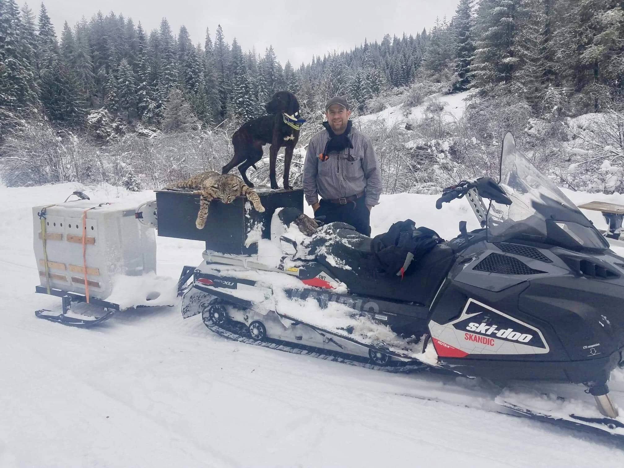 A man standing next to a snowmobile in a snowy forest, with a dog and a cat sitting on the back of the snowmobile.