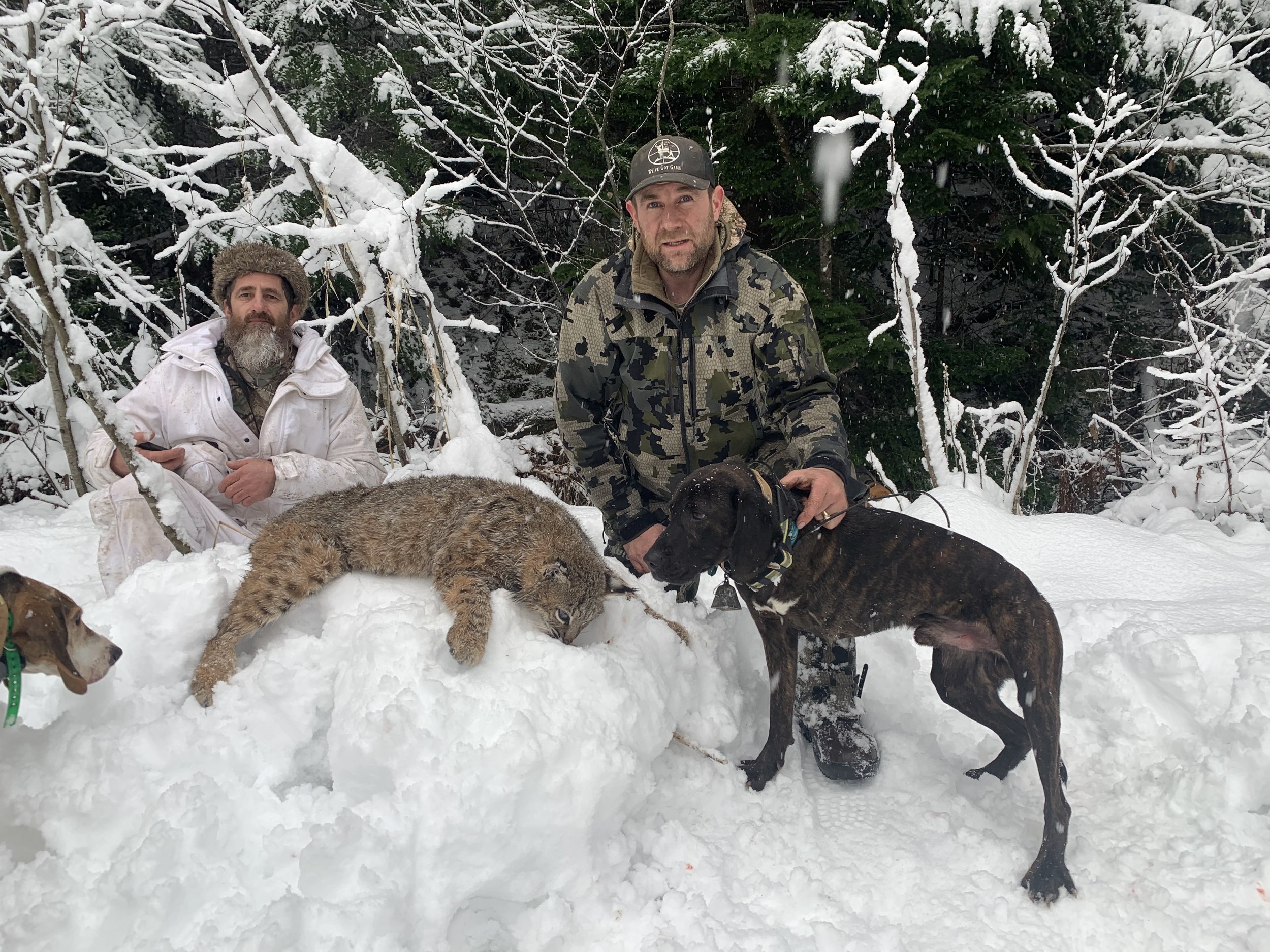 Two men and two dogs outdoors in a snowy forest setting. One man is sitting and has a beard, wearing a white jacket and a furry hat. The other man is kneeling with a camouflage jacket and cap, holding a black dog, standing beside a puppy lying in the
