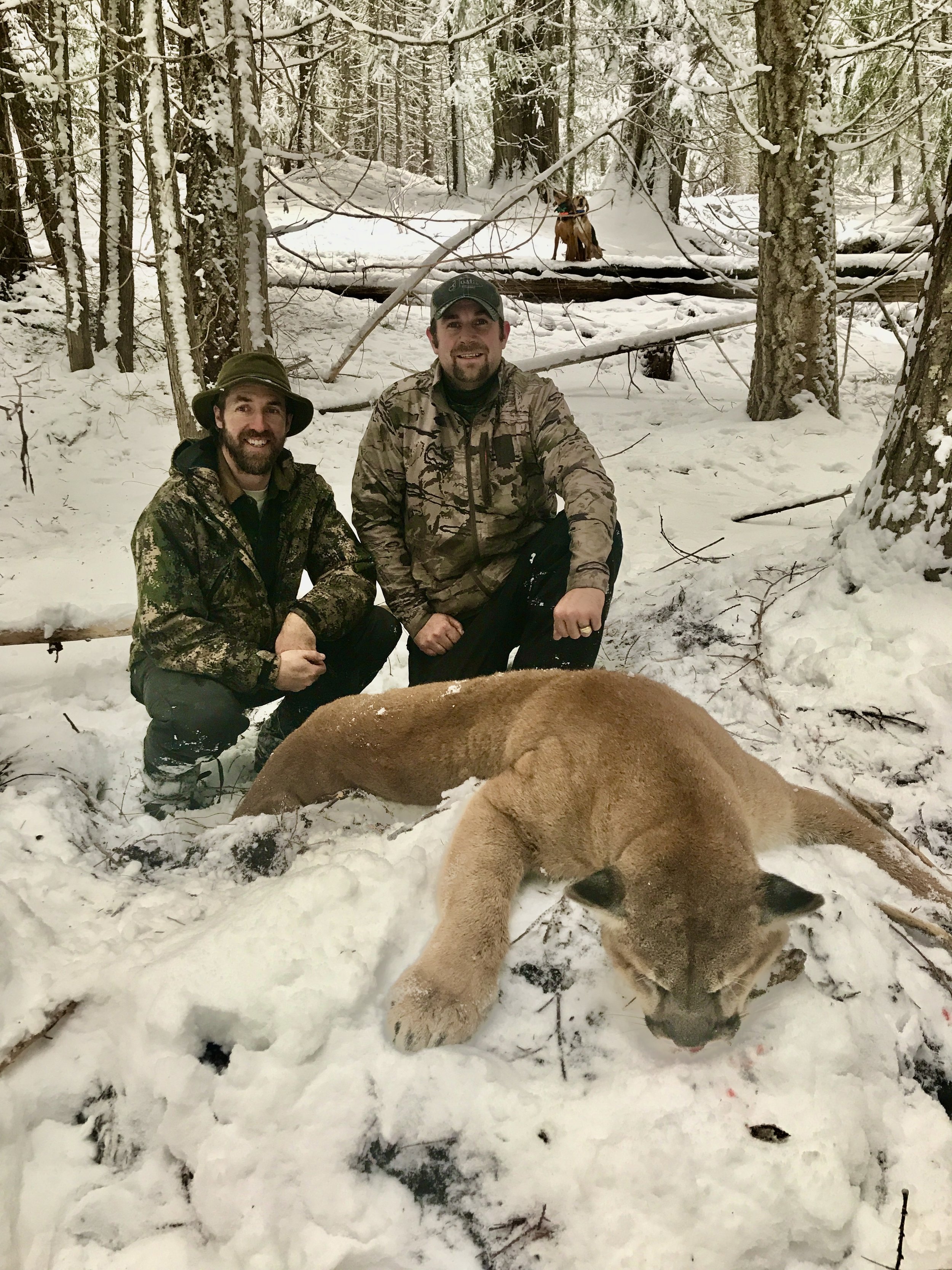 Two men in camouflage clothing kneel in a snow-covered forest, posing next to a large dog lying on the snow, with another dog in the background on a log.