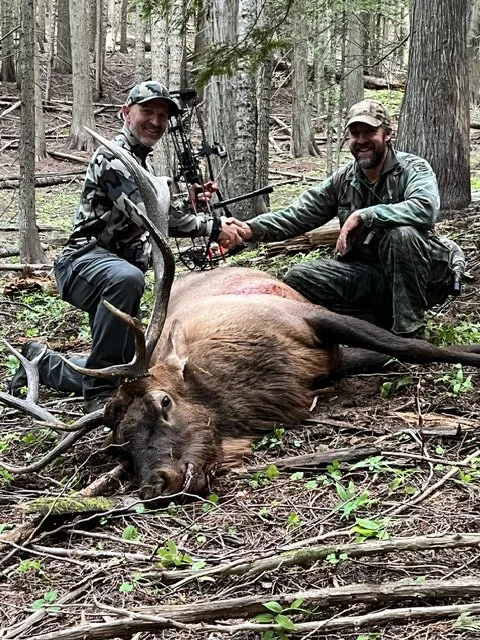 Two hunters kneeling in a forest, shaking hands beside a large, deceased elk with antlers, after a successful hunt.