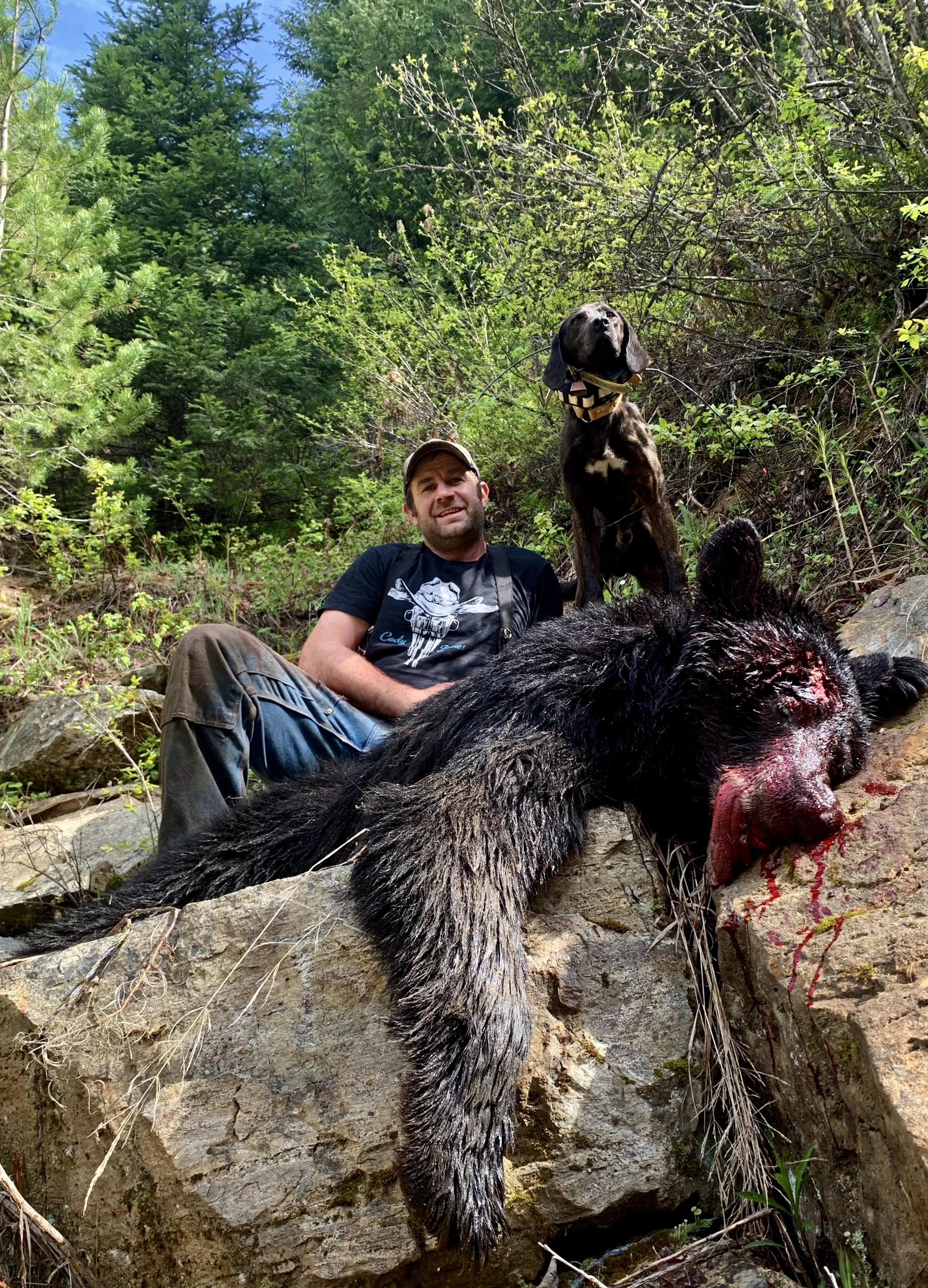 A man with two dogs and a bear laying on a large rock in a forested area.