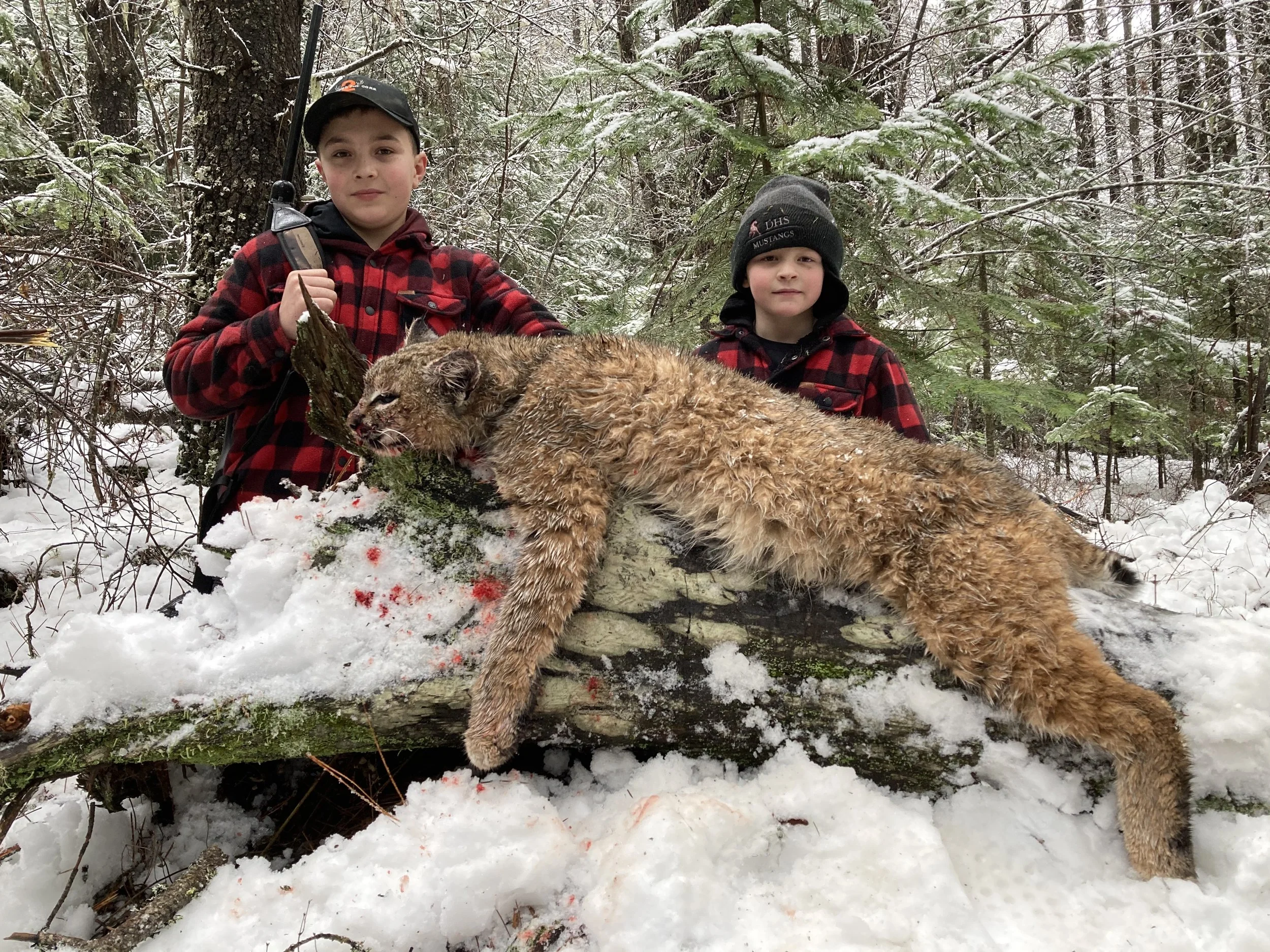 Two boys in plaid jackets and winter hats pose with a dead mountain lion on a snow-covered forest floor.