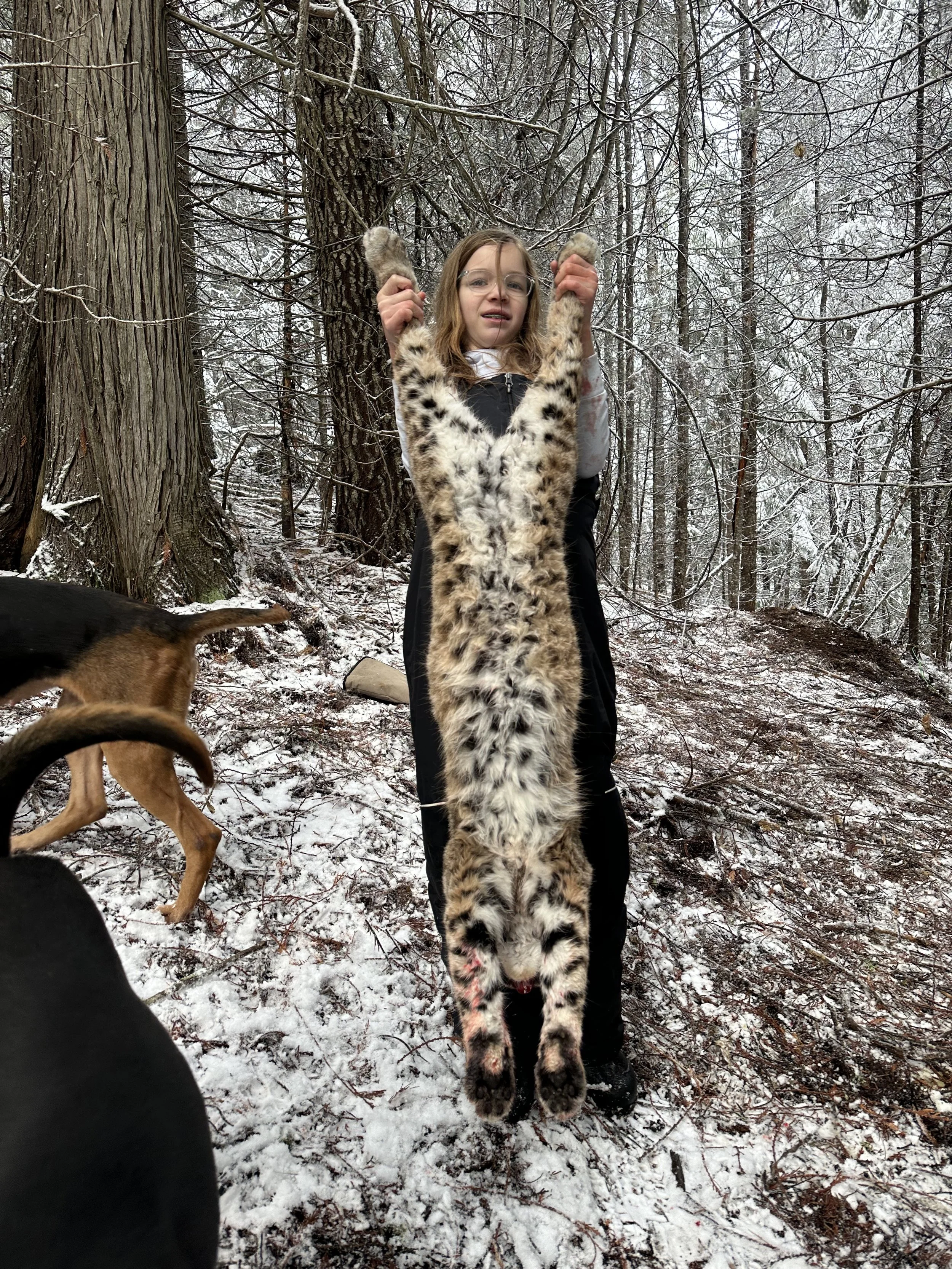 A girl in winter clothing standing on a snowy forest trail holding the legs of a large snow leopard pelt extended vertically. There are trees and snow in the background, and part of a dog is visible on the left side of the image.