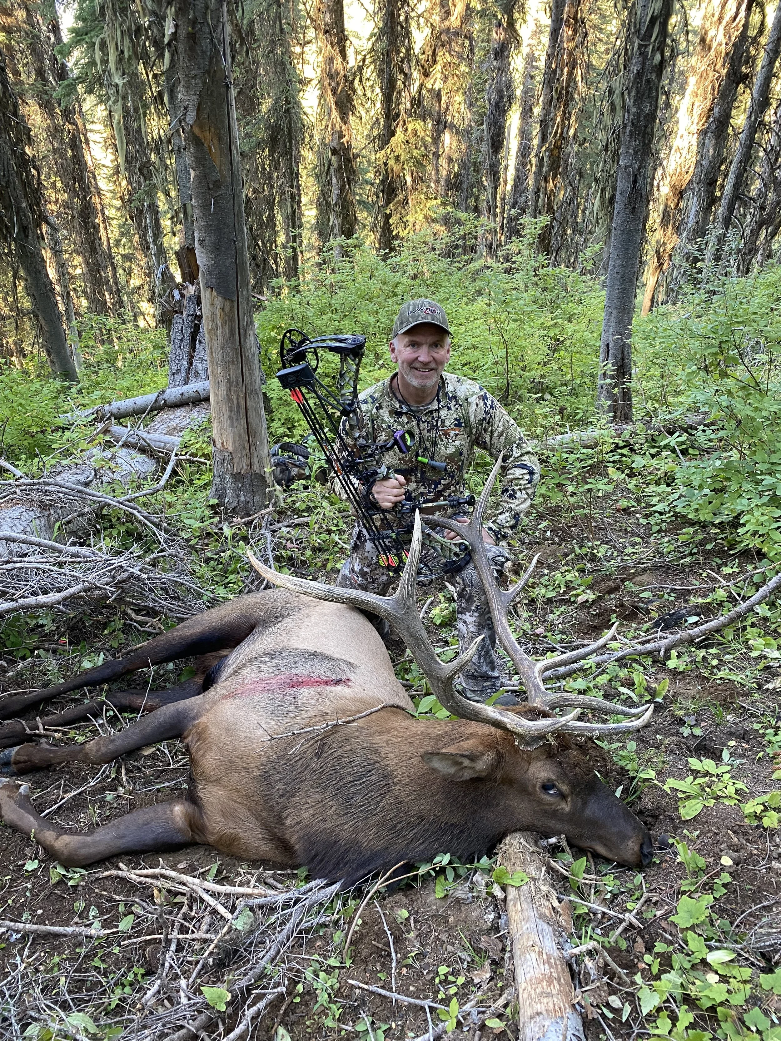 A man in camouflage clothing kneeling in a forest, holding a bow, next to a large dead elk lying on the ground with its antlers visible.
