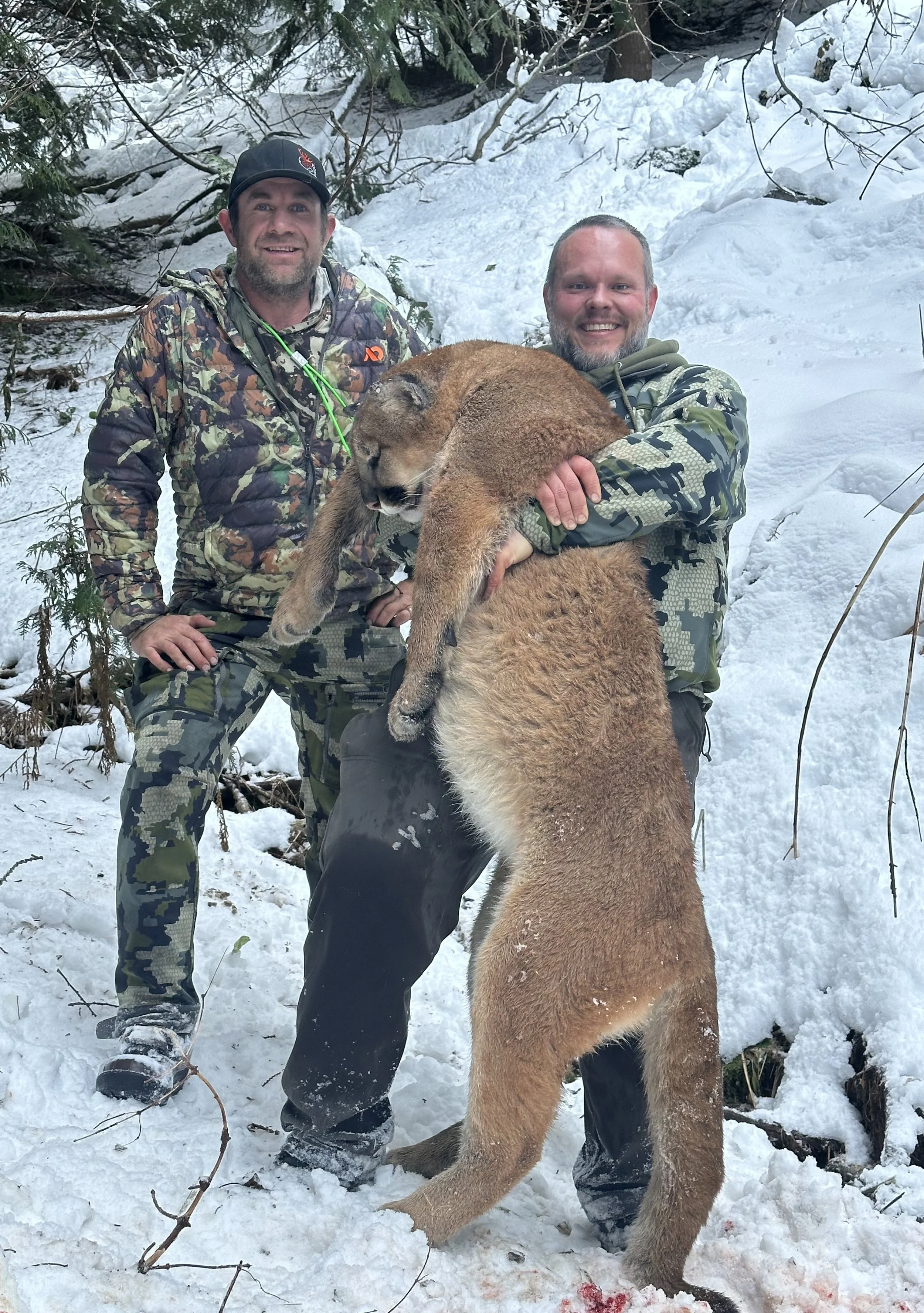 Two men in camouflage clothing holding a large mountain lion in a snowy forest.