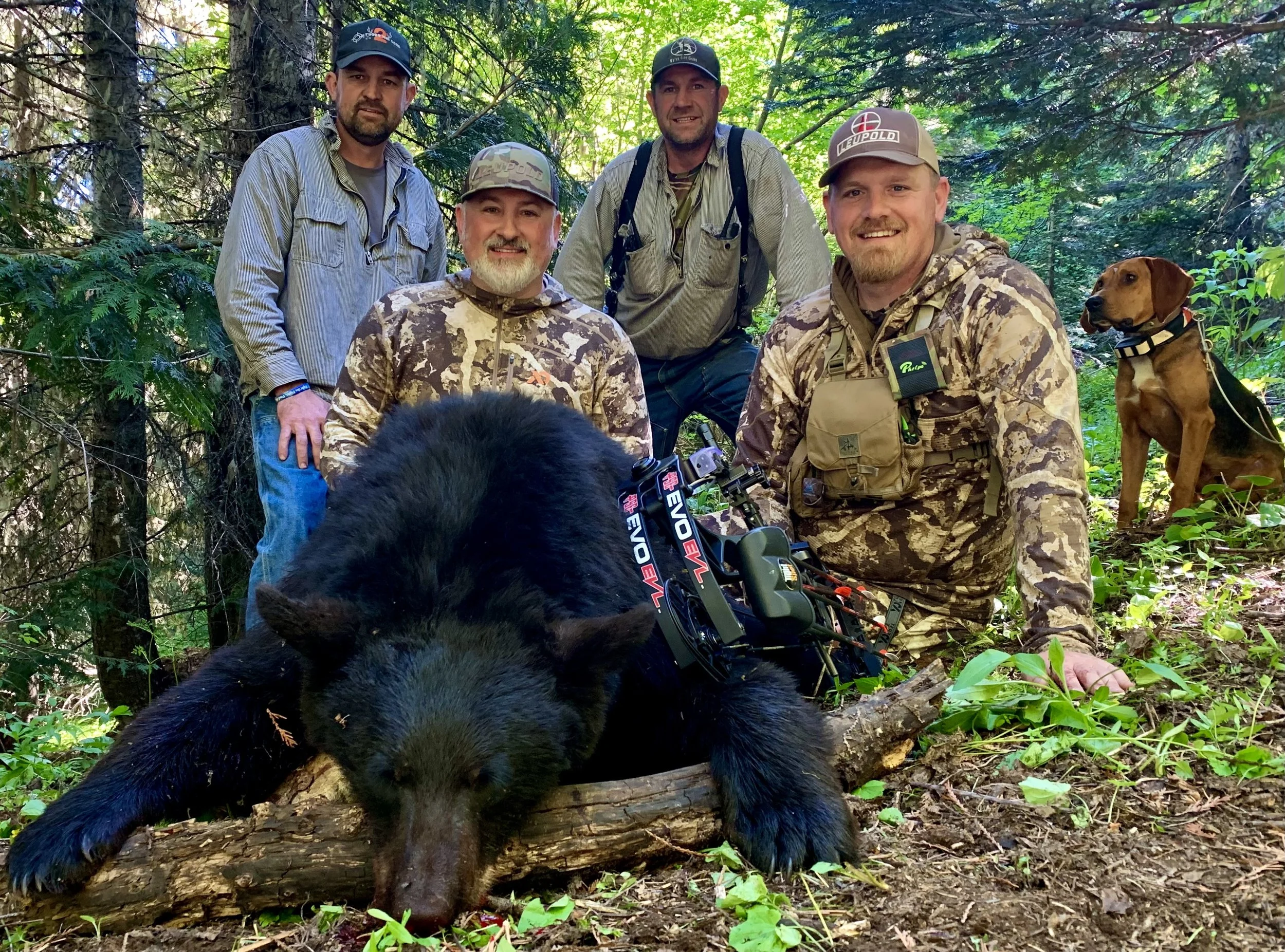 Five men with a black bear they hunted, surrounded by green trees in a forest. Two of the men are in camouflage clothing, and one has a dog nearby. The bear is laying on the ground with a bow placed on it.