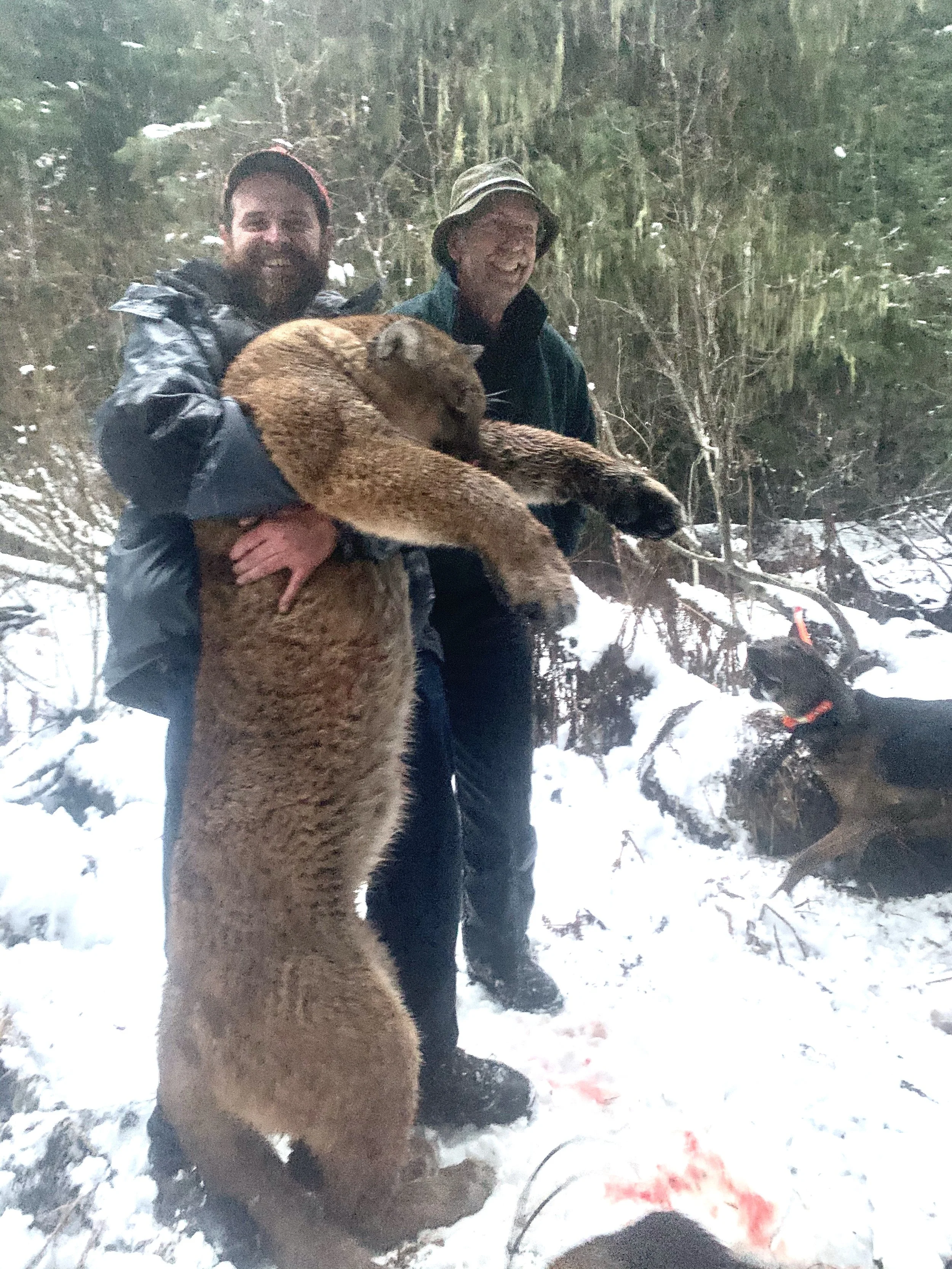 Two men holding a large, mountain lion in a snowy forest, with a dog nearby.