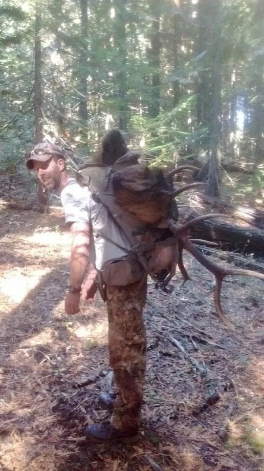 Man hiking in a dense forest carrying a large backpack with deer antlers attached.