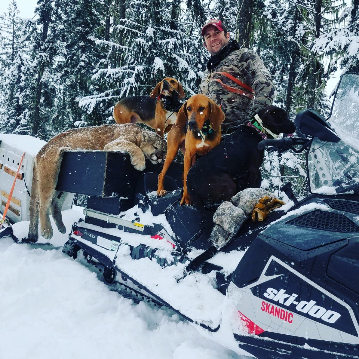 A man with four dogs on a snow-covered forest trail, sitting on a snowmobile, with trees and snow in the background.