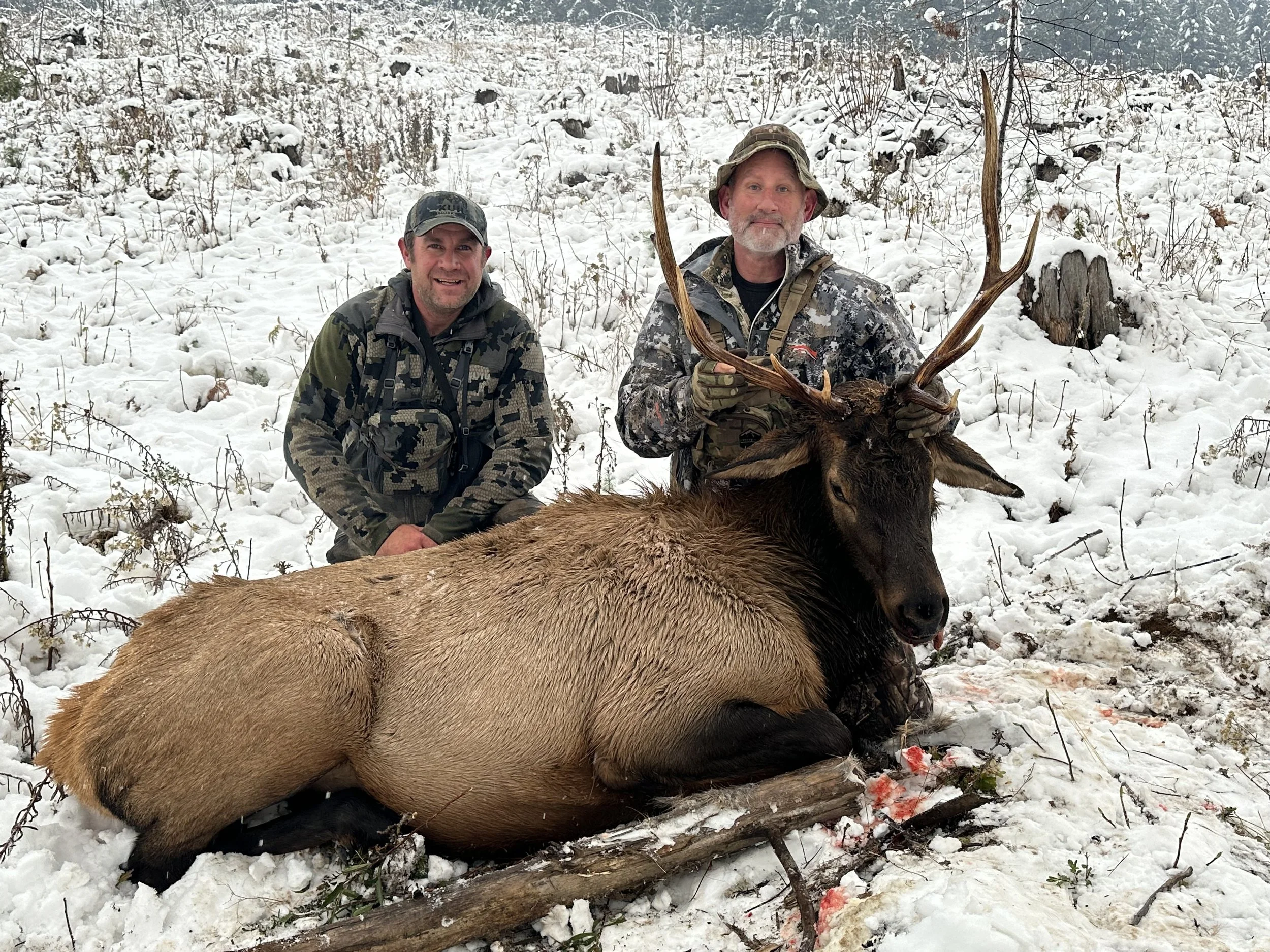 Two men in camouflage clothing kneeling in snow with a large elk they have hunted, with one man holding the elk's antlers and the other smiling nearby.