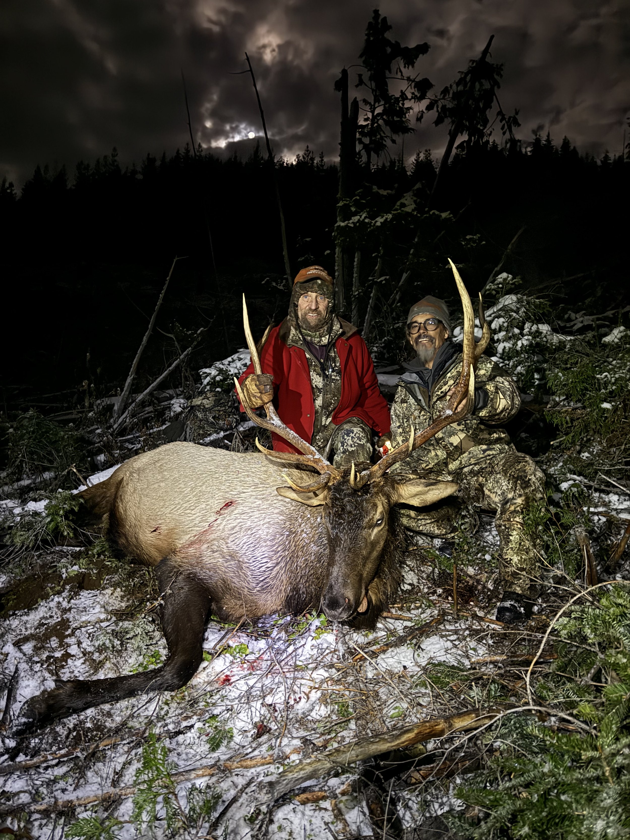 Two hunters in camouflage and outdoor gear kneeling beside a large elk with significant antlers in a snowy forest at night.