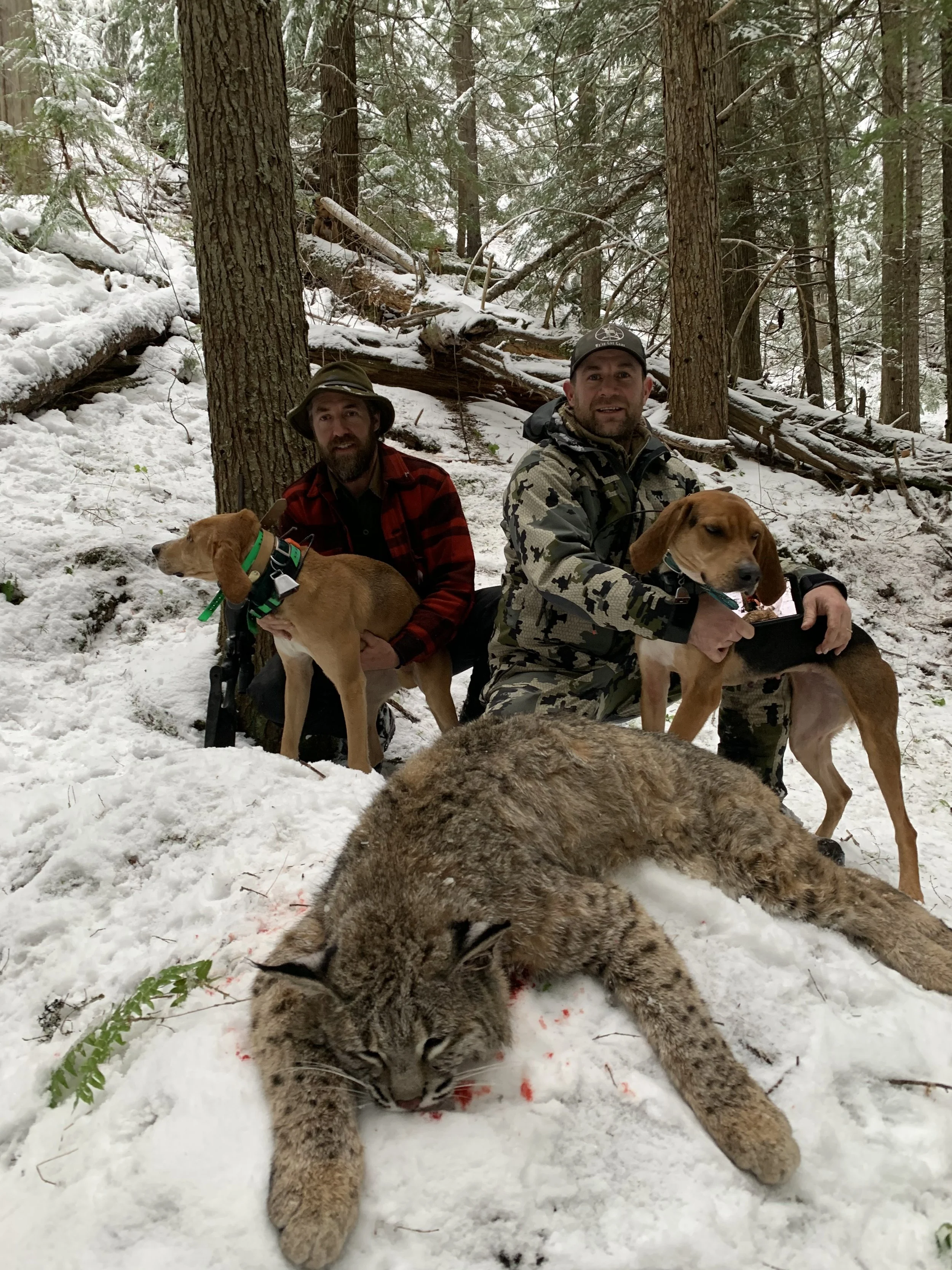 Two hunters sitting in a snowy forest with two dogs, a bobcat on the ground, and fallen trees in the background.