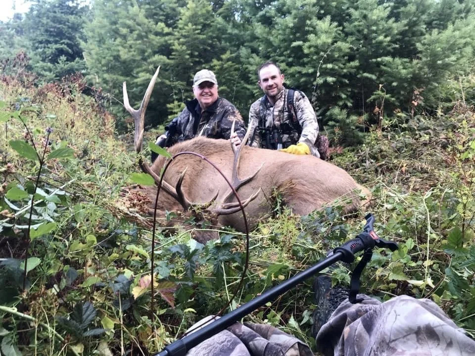 Two hunters are posing with a large animal, likely a stag, in a forest clearing surrounded by dense greenery. The animal is lying on the ground with its antlers visible. One hunter is wearing camouflage and the other is wearing a hat and glasses. A r