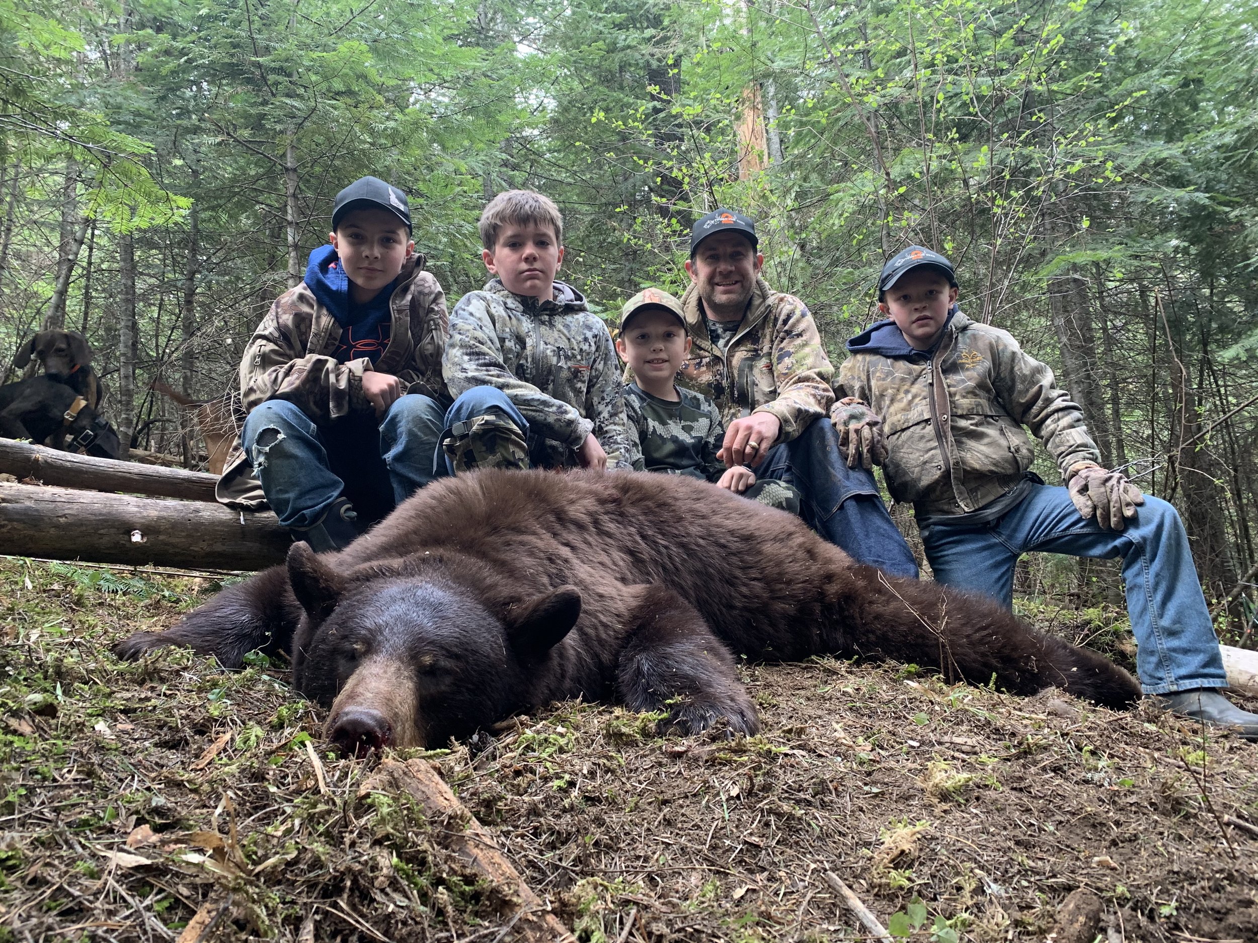 Group of five boys and one adult posing with a bear in a forest, with two dogs nearby.