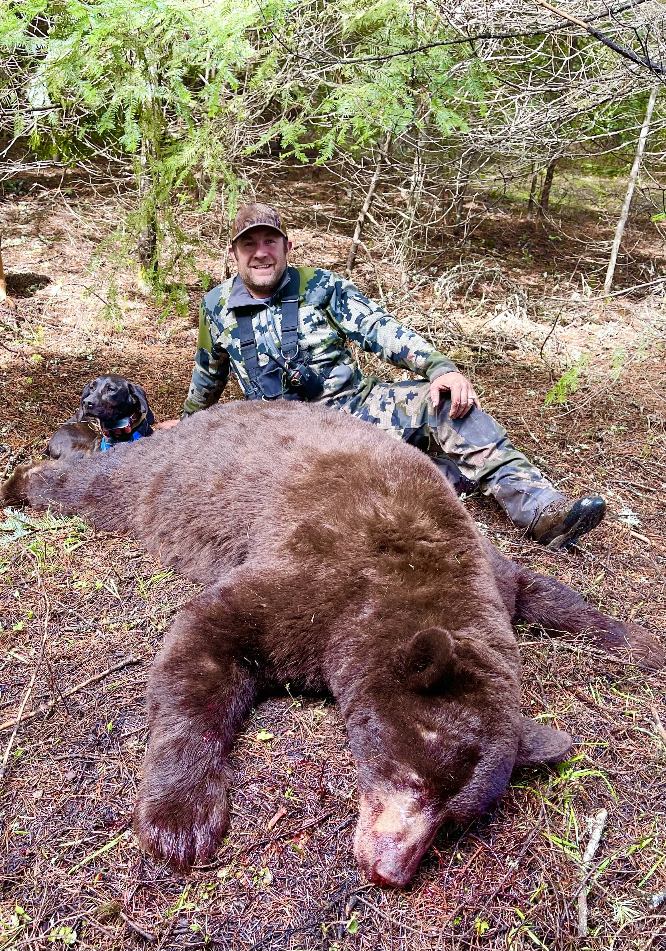 A man in camouflage clothing sitting next to a large dead brown bear in a forest, with a black dog beside him.