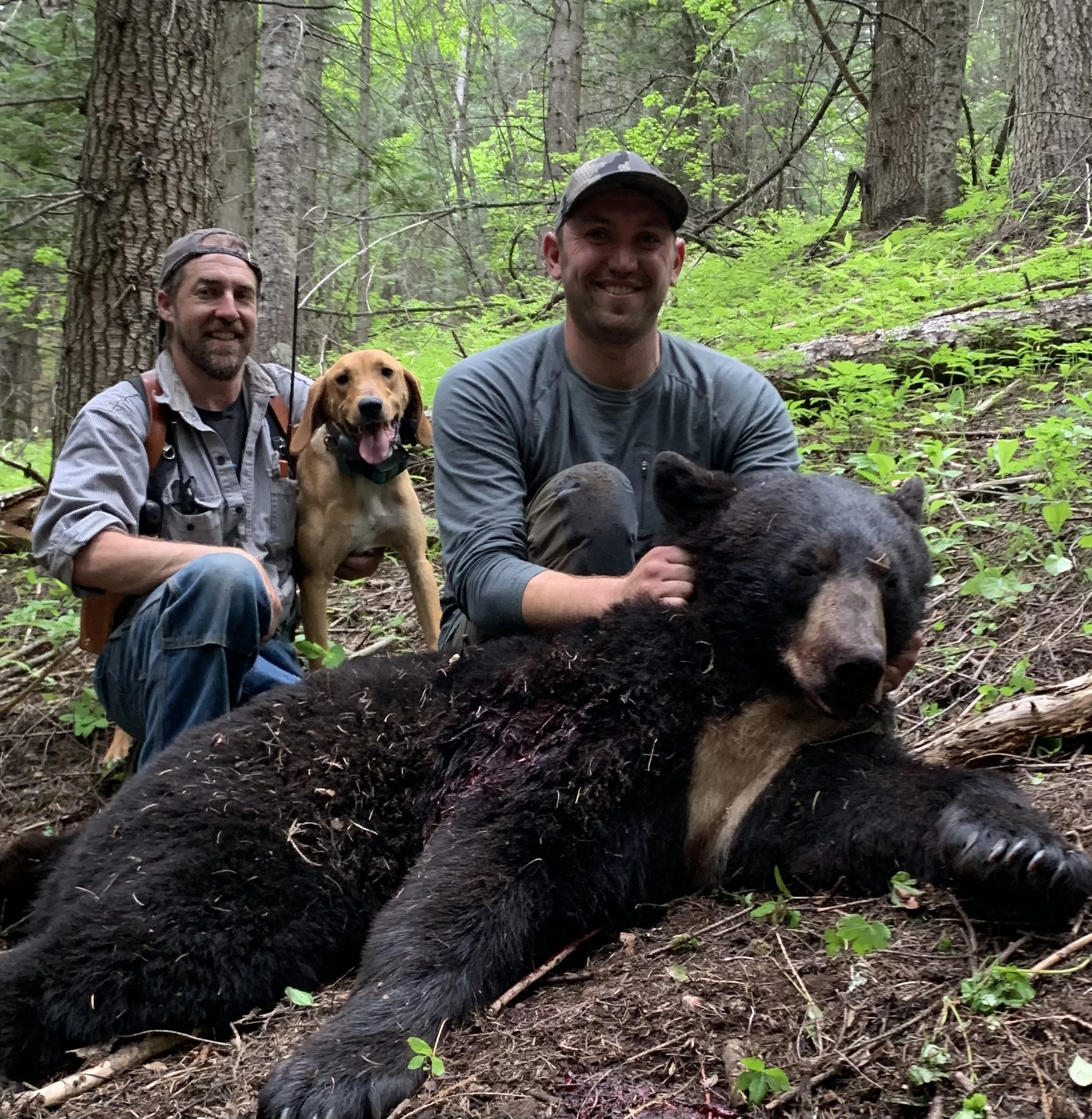 Two men with a dog and a black bear in a forest, one man kneeling next to the bear, the other sitting behind the dog.