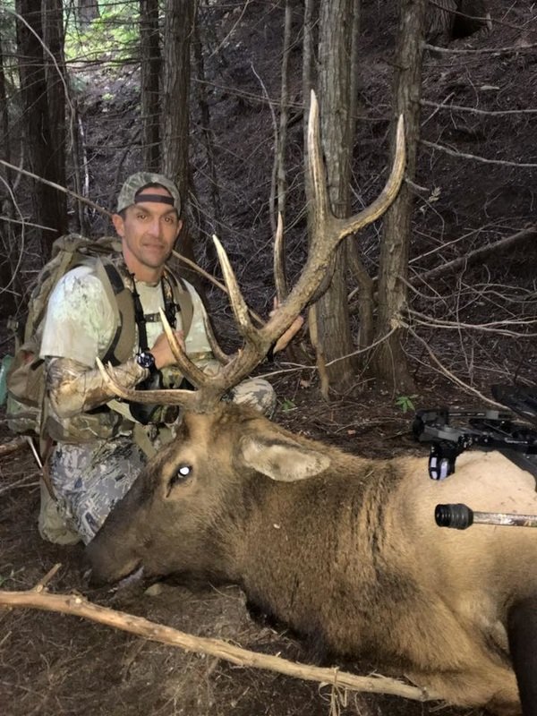 Man in camouflage clothing with a backpack kneeling beside a large elk with impressive antlers in a forest.