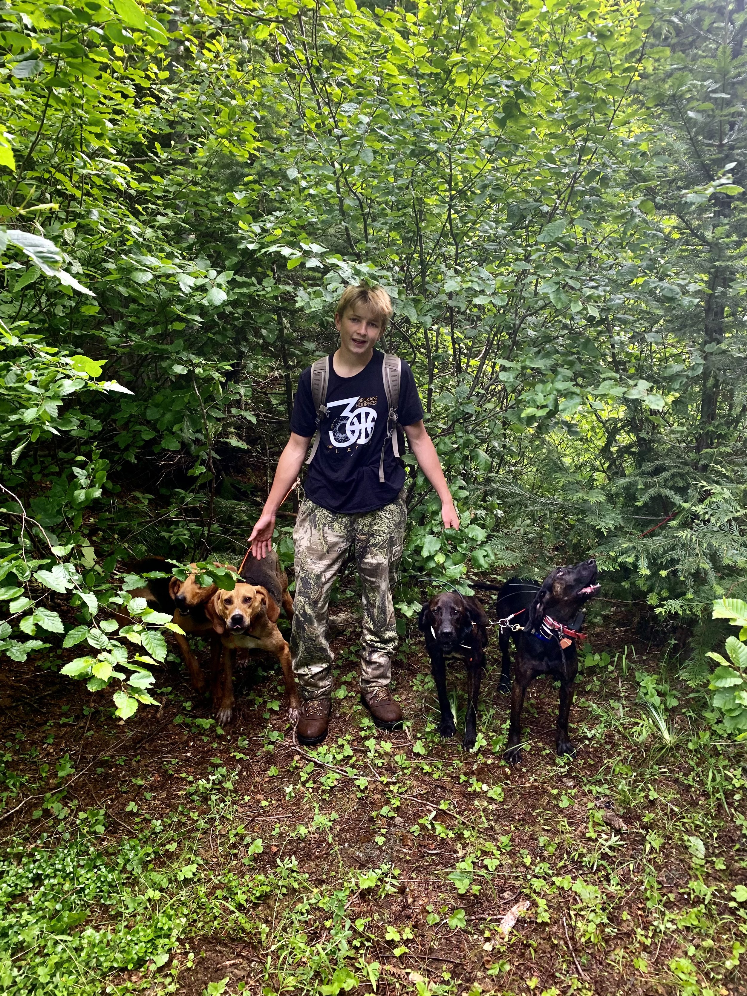 A boy with a backpack walking in a dense, green forest with three dogs, holding their leashes.