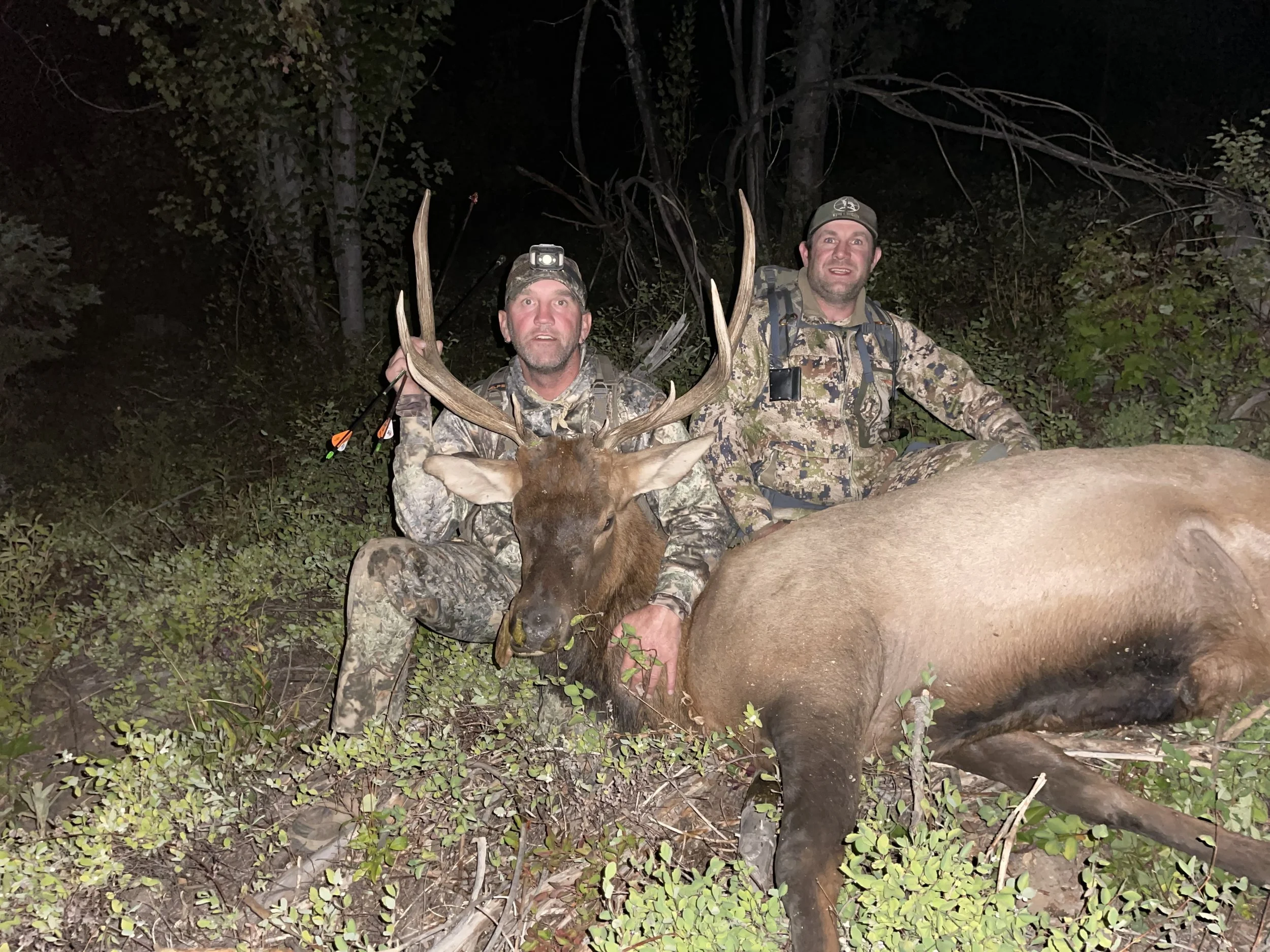 Two hunters in camouflage gear sitting on the ground at night with a large buck and a pig, holding the buck's antlers and the pig's body.