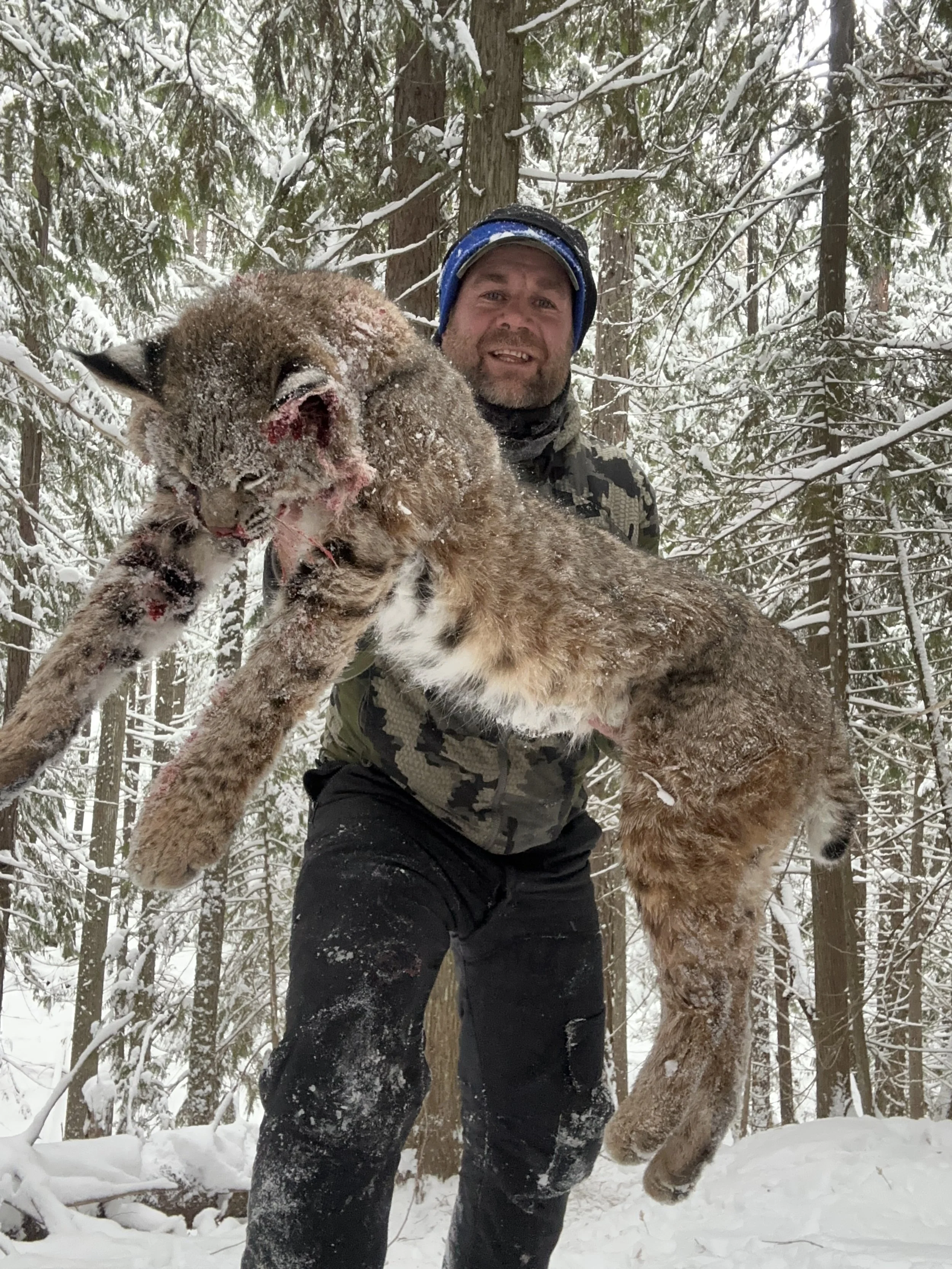 A man in winter clothing holding a large, injured mountain lion in a snowy forest.