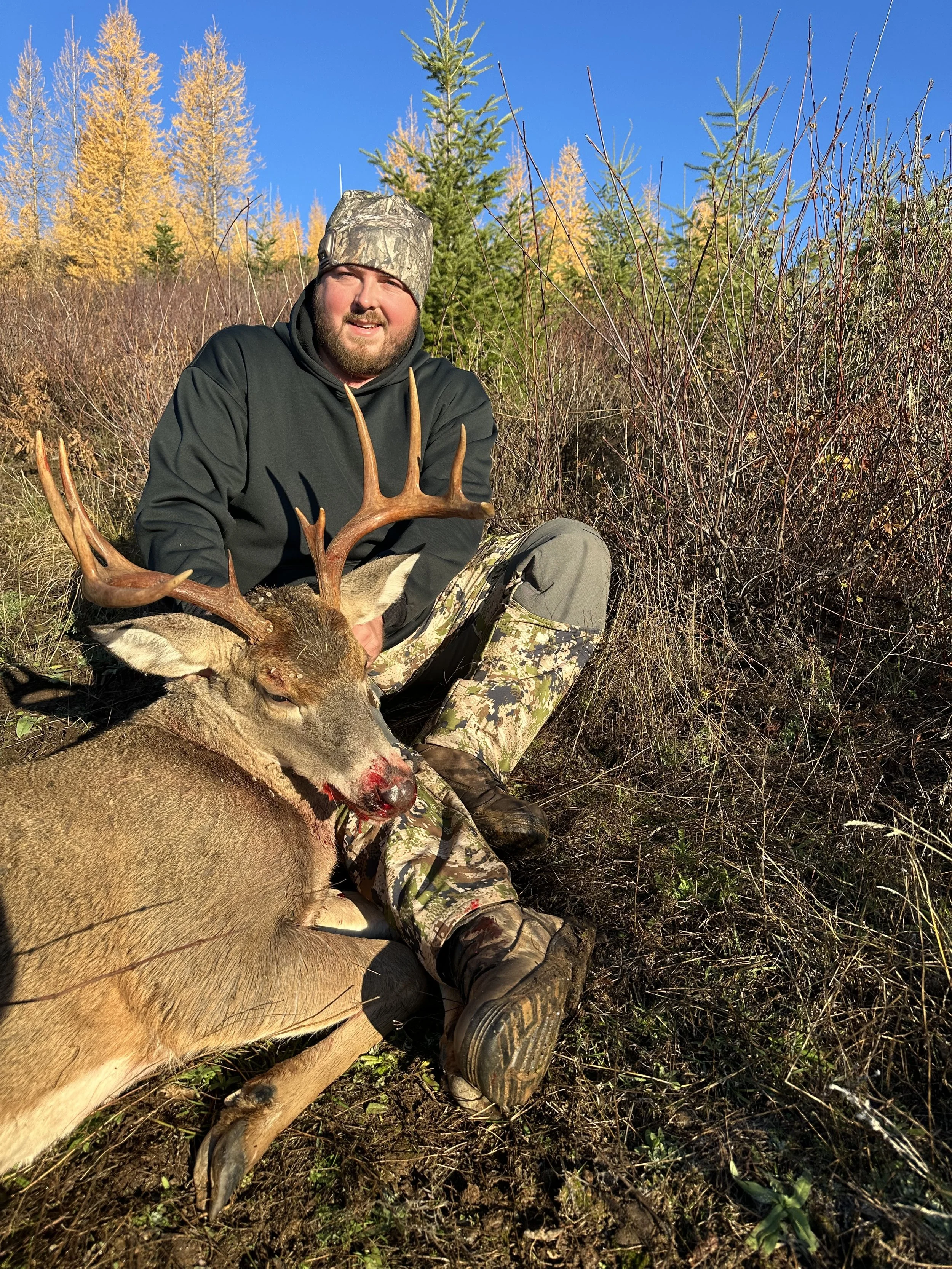 A man dressed in camouflage and outdoor gear sitting on the ground, holding a large deer with antlers, in a forested area during fall with colorful autumn trees and a clear blue sky.