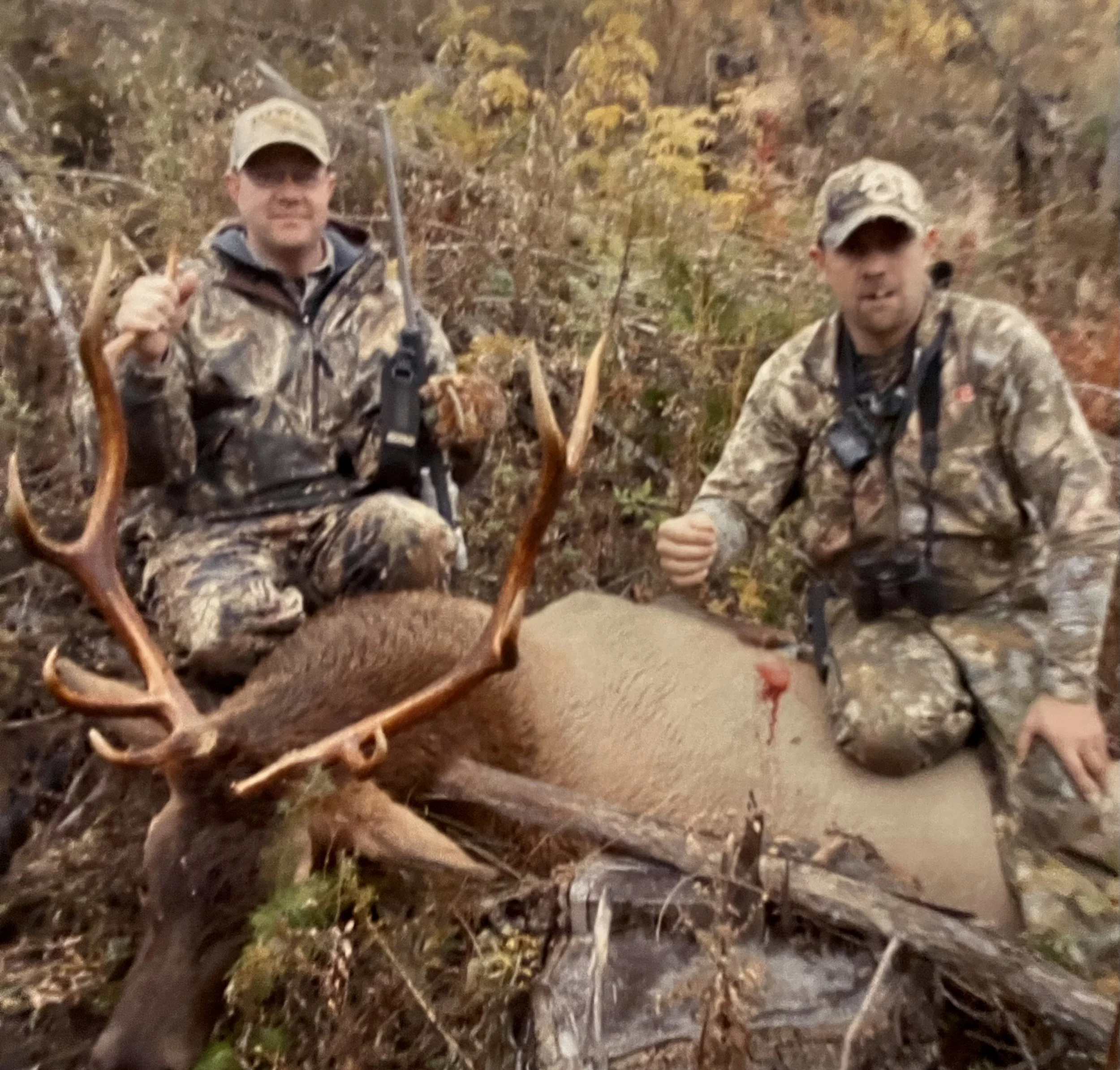 Two men in camouflage hunting gear squatting beside a large dead elk with impressive antlers in a wooded area during fall.