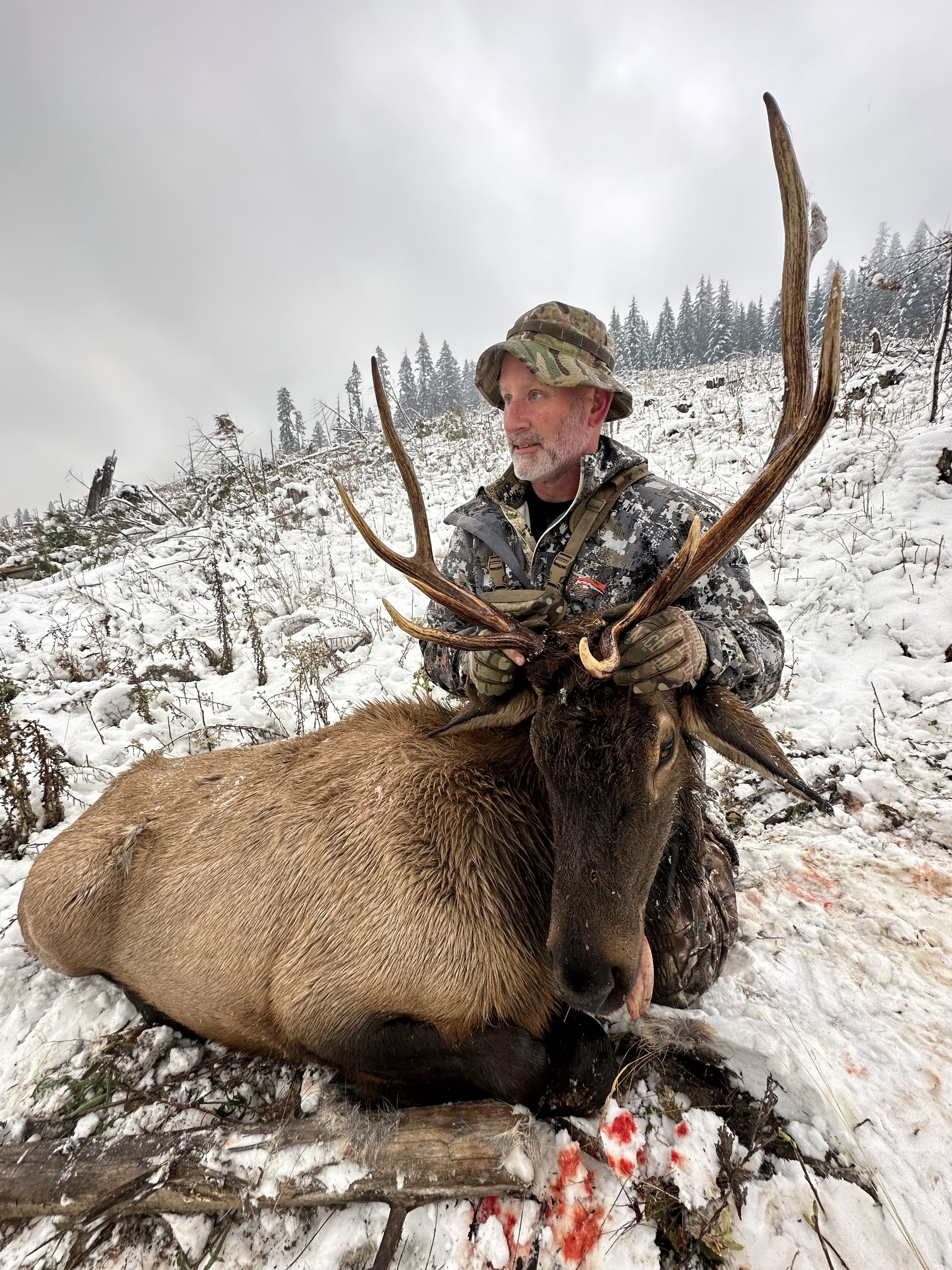 A man in camouflage clothing and a hat kneels in the snow, holding a large deer with impressive antlers that he appears to have hunted.