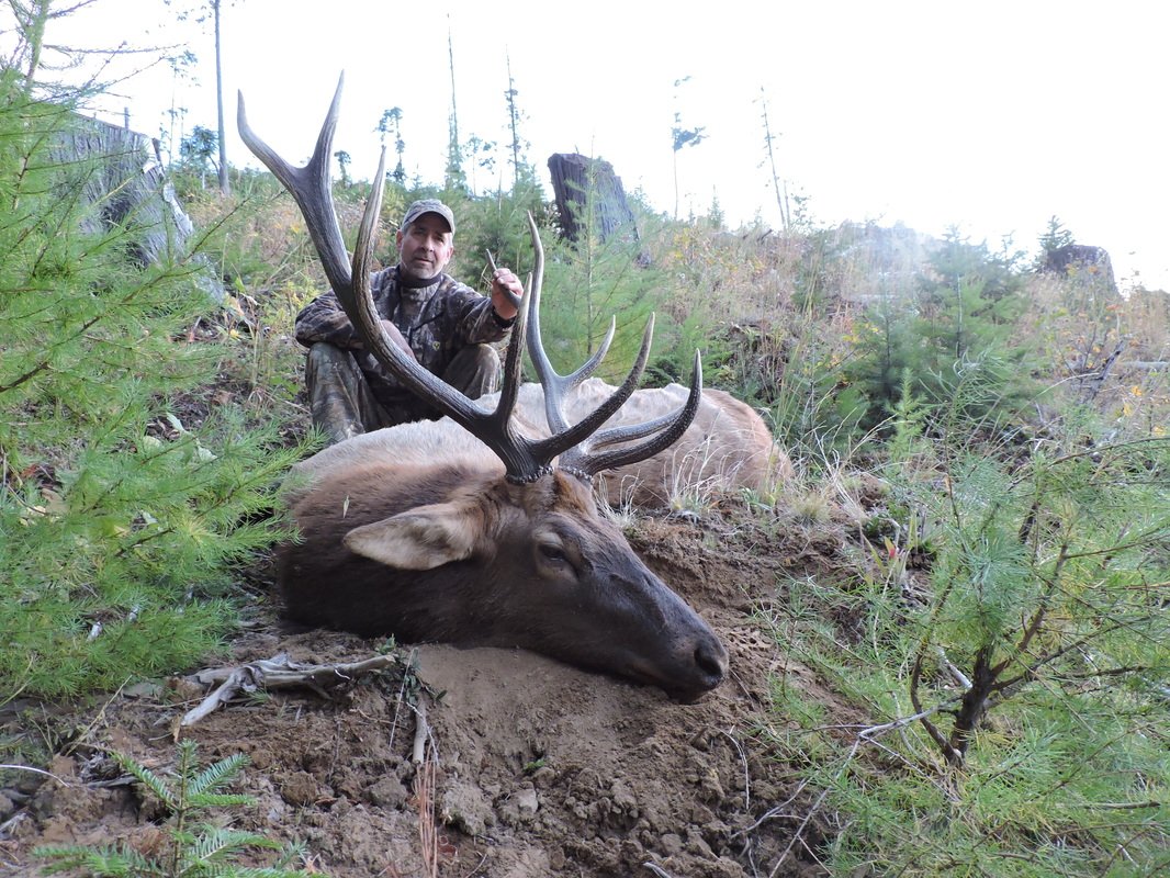 A man in camouflage clothing and a cap sits on the ground in a forested area, posing with a large elk that has prominent antlers, lying on its side with its head on the ground.