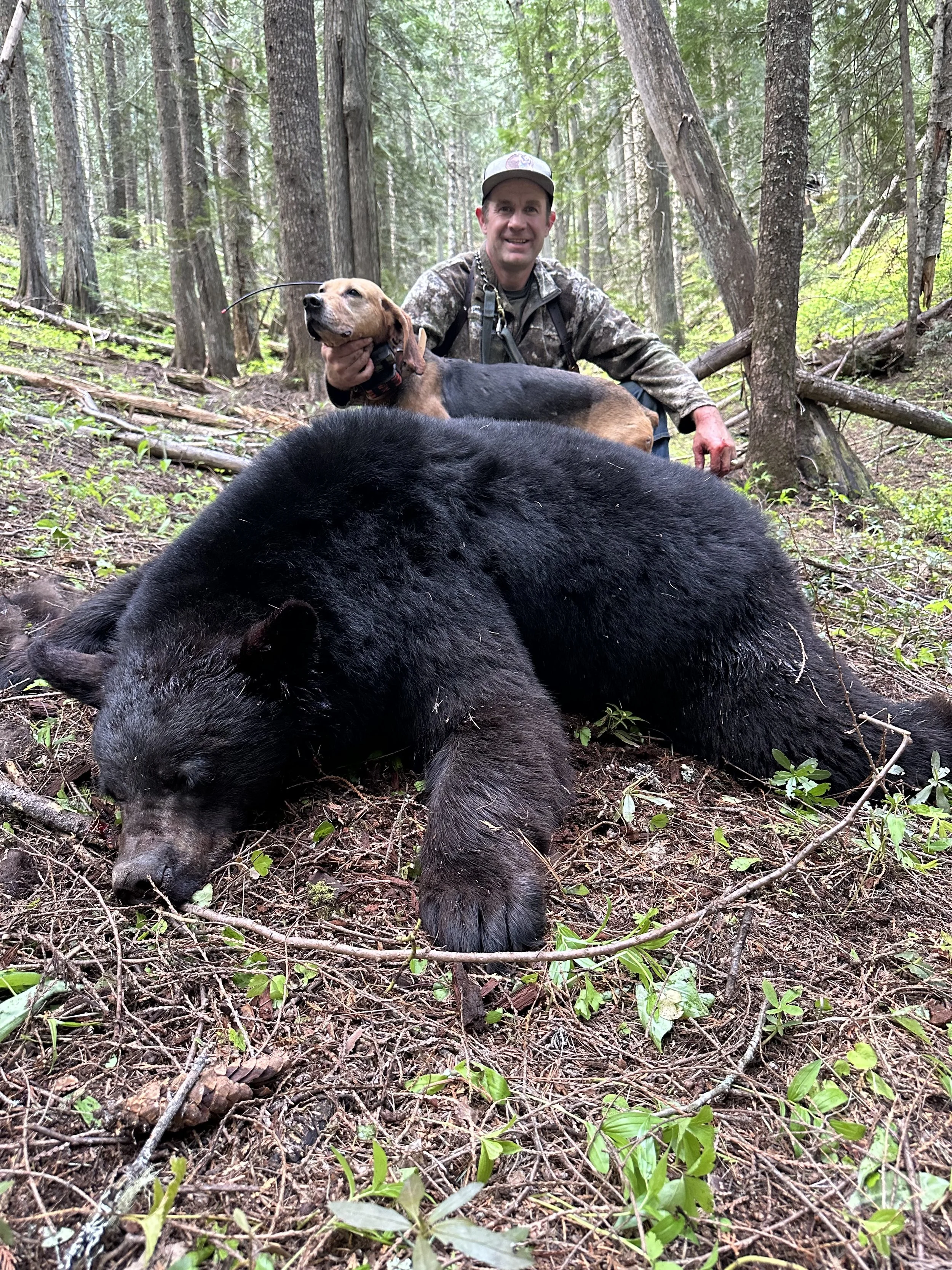 A man in camouflage clothing kneels in a forest with a large black bear lying on the ground, and a smaller dog sitting on his lap.