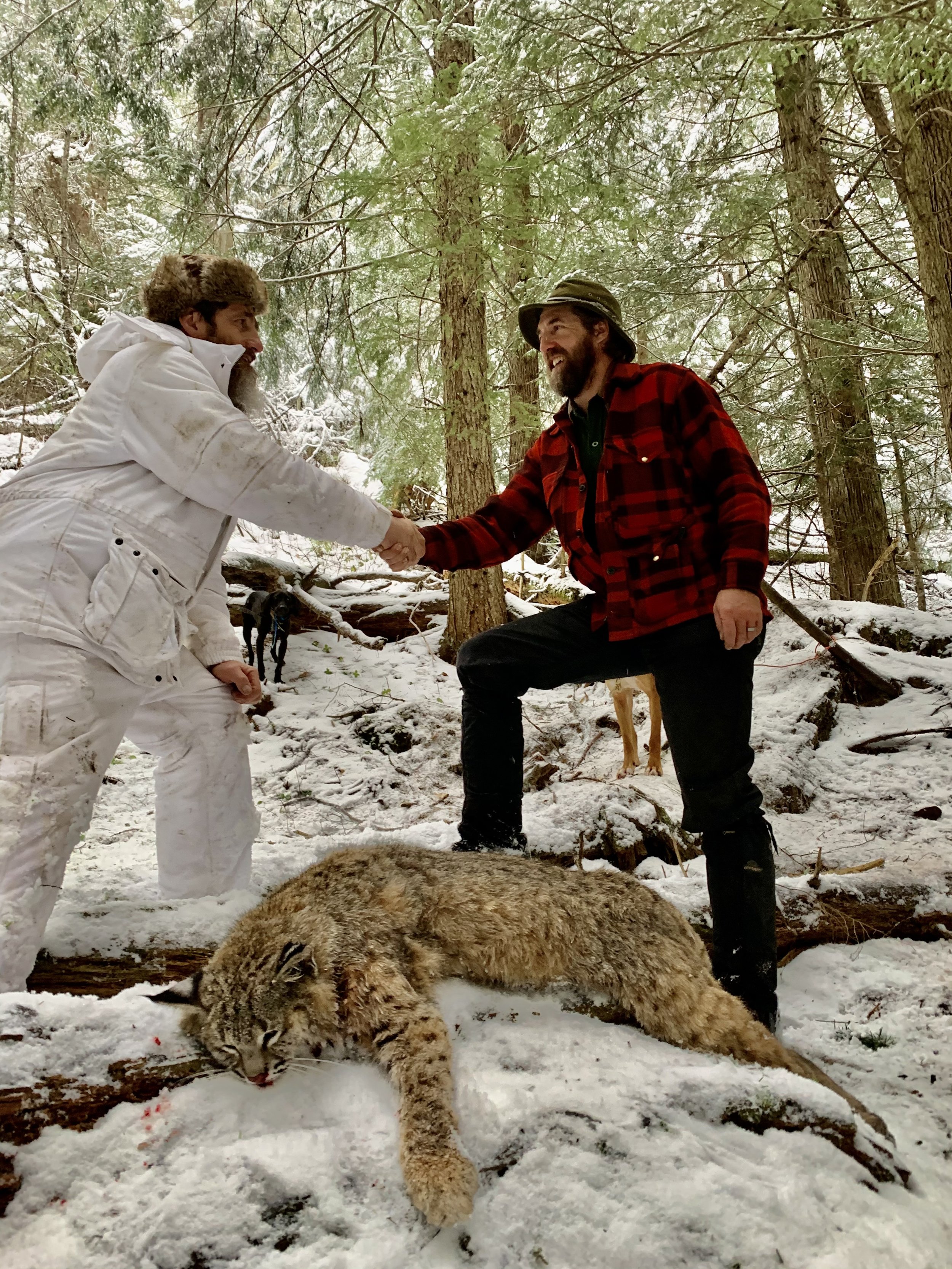 Two men shaking hands in a snowy forest with a bobcat lying on the snow in front of them and a dog in the background.