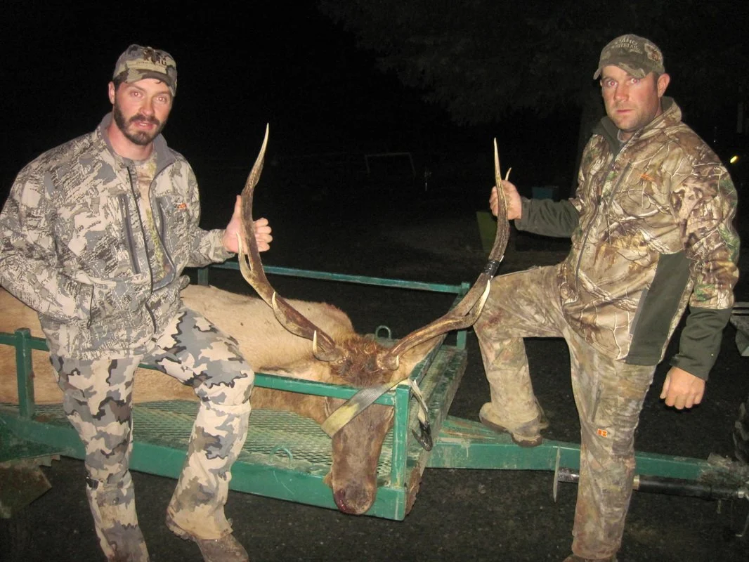 Two men dressed in camouflage hunting clothing holding a large mounted moose head on its body in a trailer at night.
