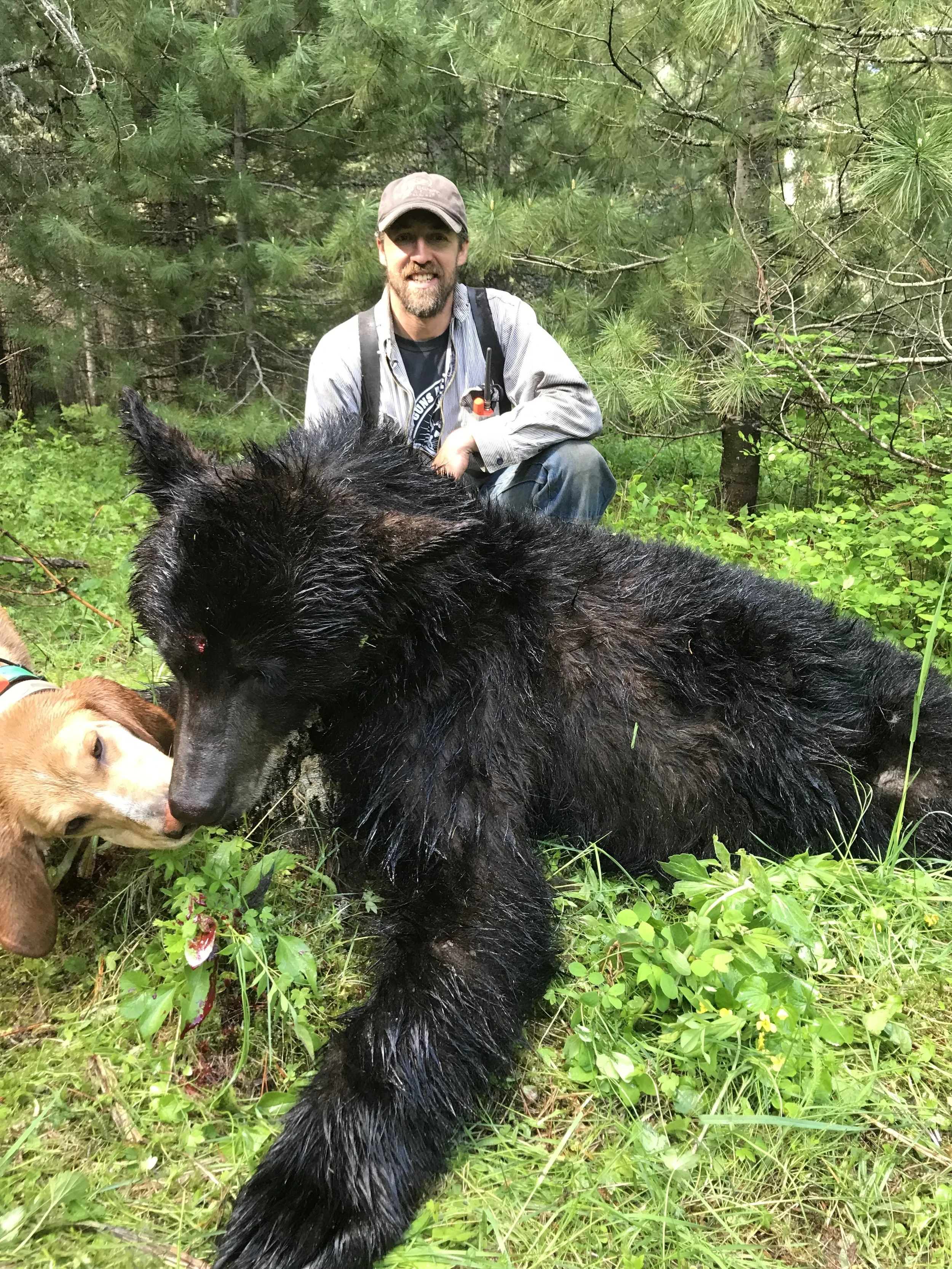 A man with a beard and cap crouches behind a large wet black dog and a smaller tan dog in a forest with green foliage and trees.