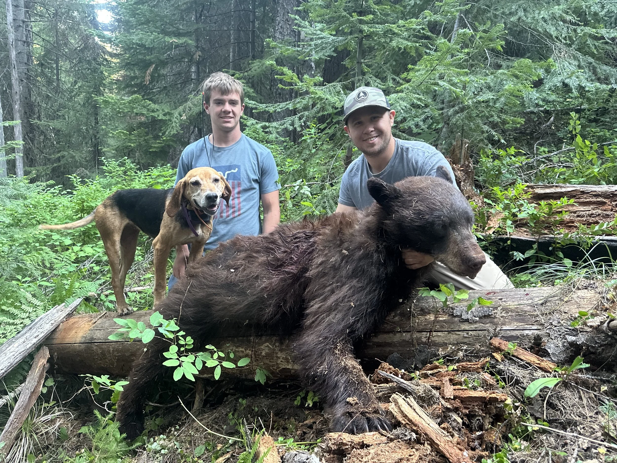 Two men in a forest with a dog and a bear. One man is kneeling close to the bear, which is lying on a fallen log. The dog is standing on the log, near the man. The men are smiling, and the forest is lush with greenery.