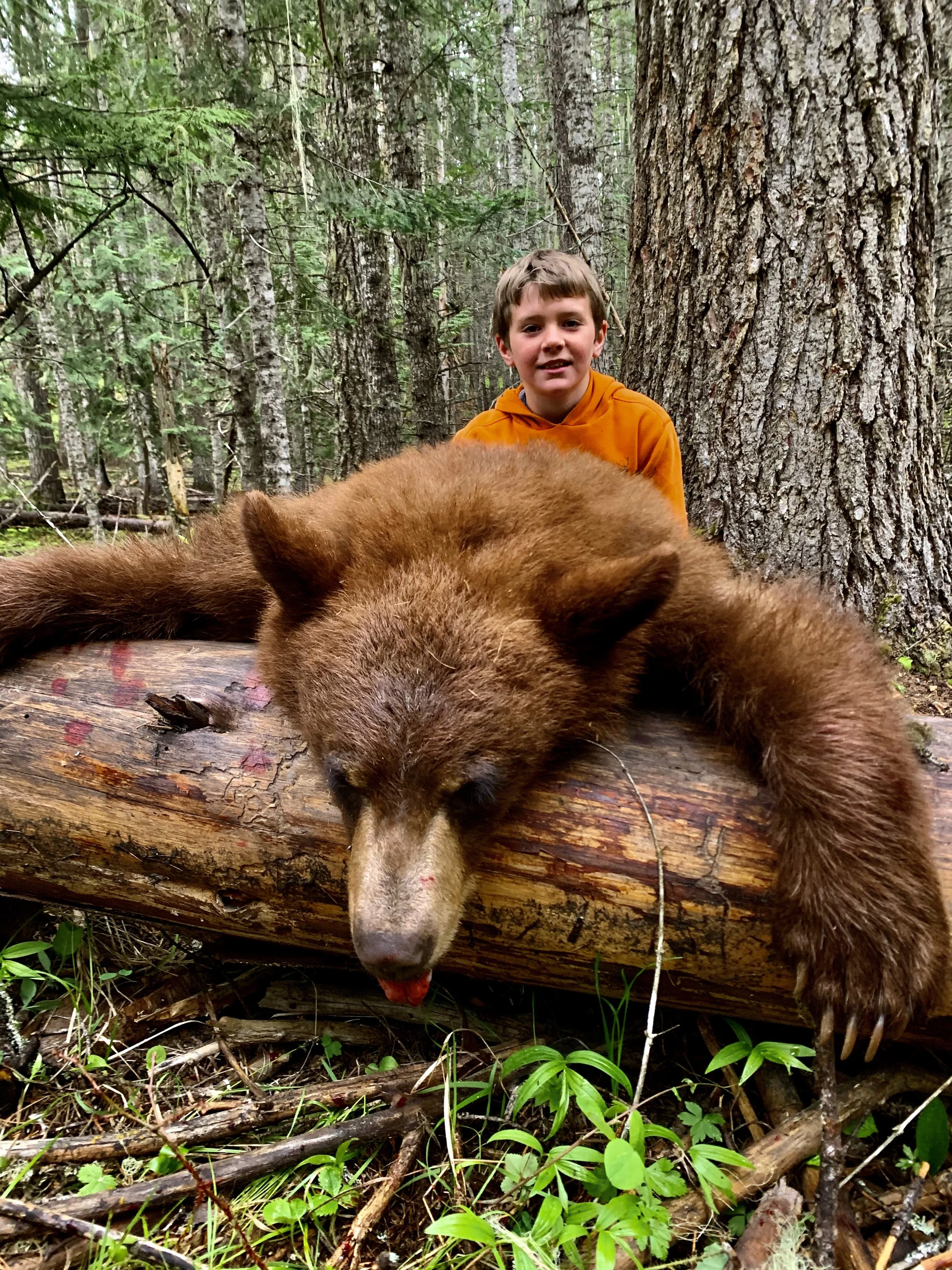 A boy in an orange hoodie sitting behind a large log in a forest, posing with a brown bear laid across the log.