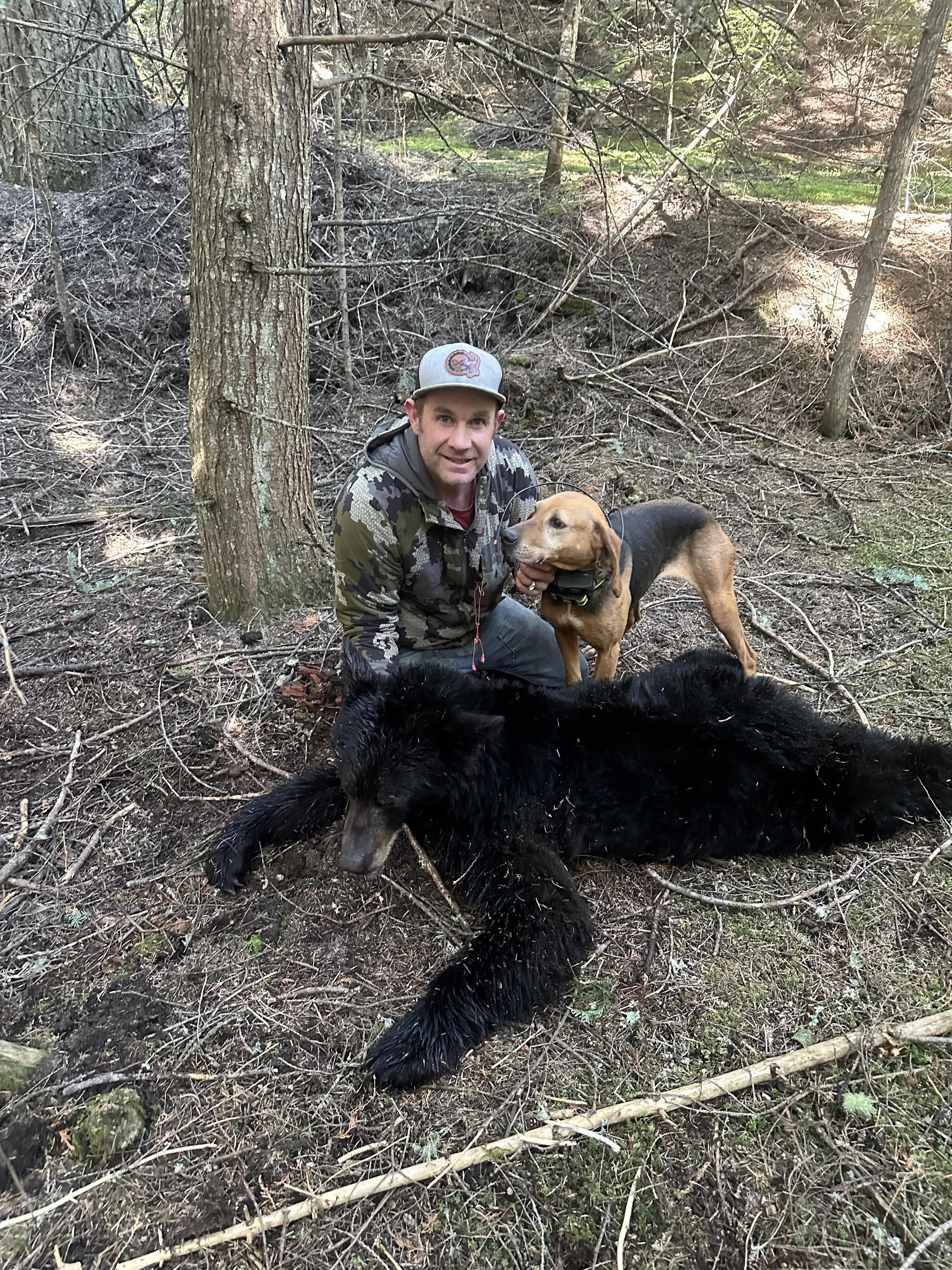 A man with two dogs in a forest, one dog lying on the ground and one standing next to him.