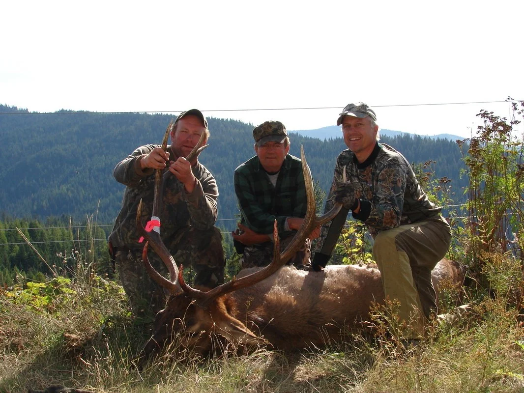 Three hunters posing with a large elk they have hunted in a mountain clearing, holding its antlers.