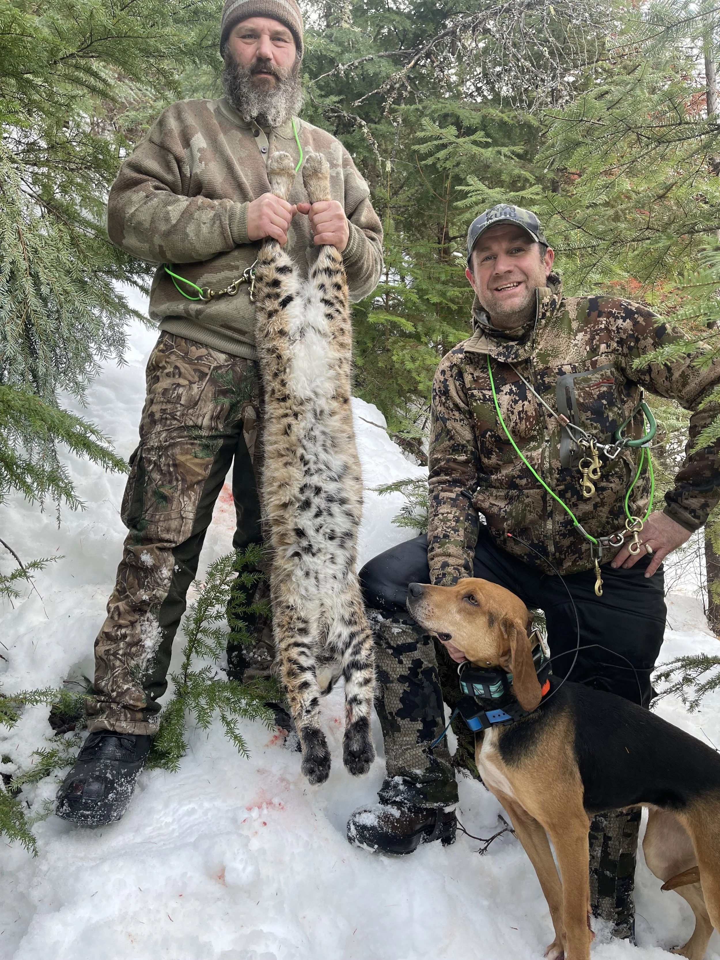 Two hunters in camouflage and outdoor clothing with two dogs, posing with a freshly killed snow leopard in a snowy forest.