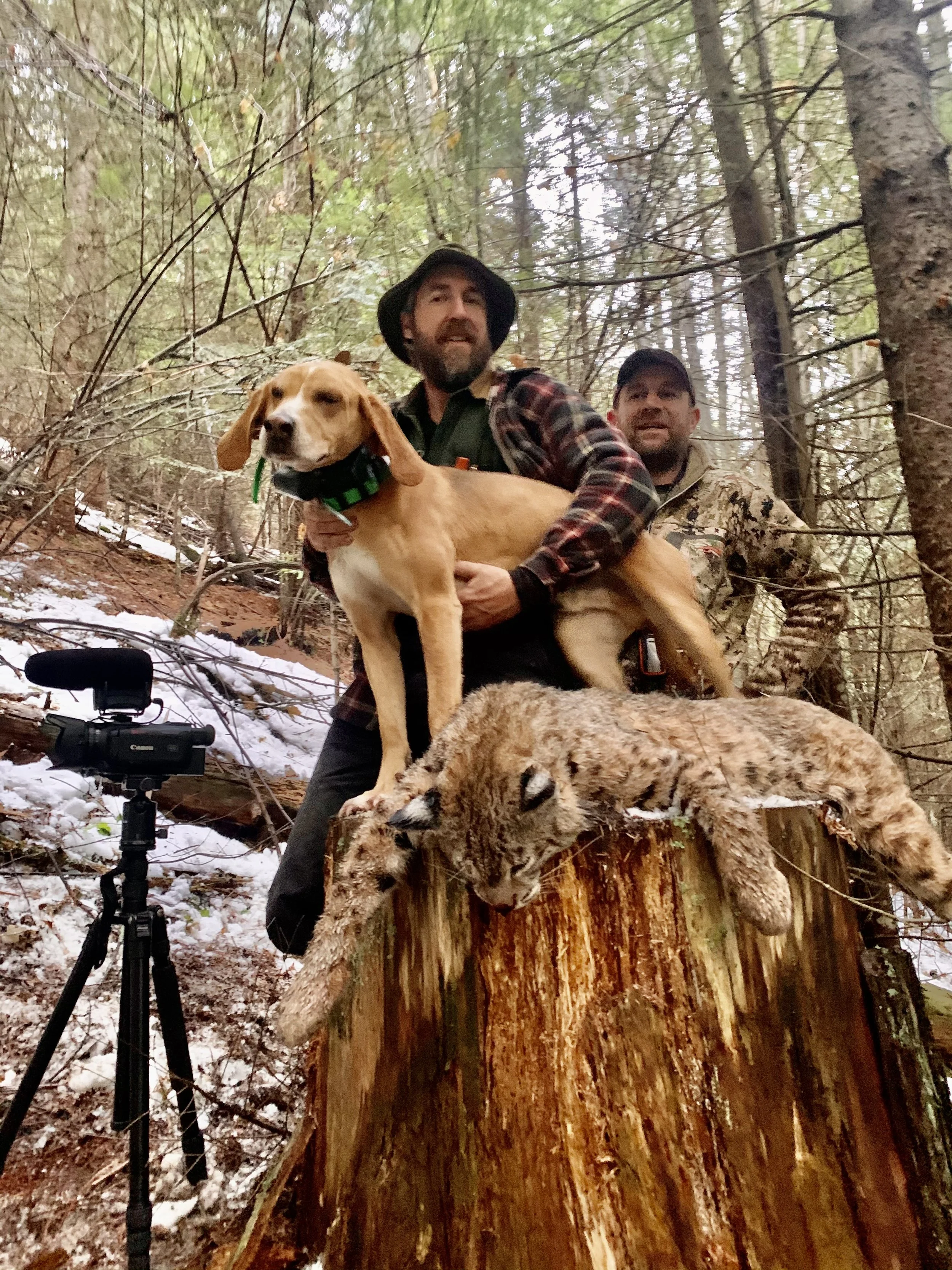 Two men and a dog standing on a tree stump in a forest, with a  bobcat lying on the stump and a camera on a tripod nearby, during winter with snow on the ground.