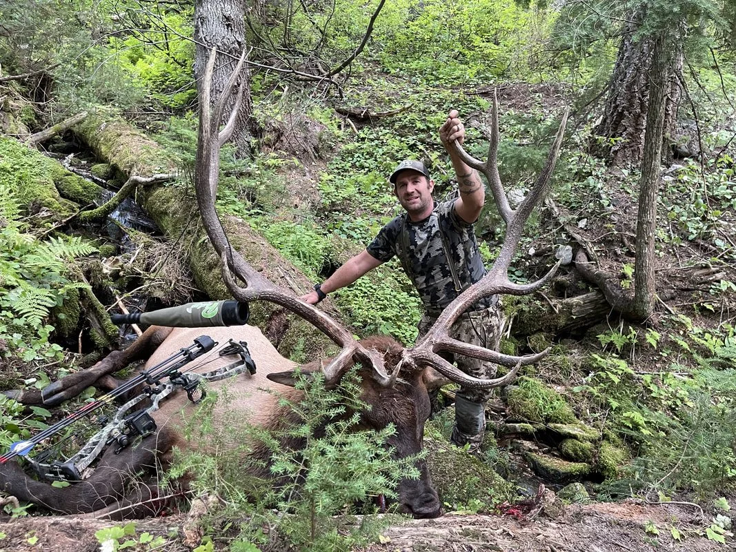 A man with a camouflage shirt and cap holding a large elk with impressive antlers in a forested area, with a bow lying on the ground nearby.
