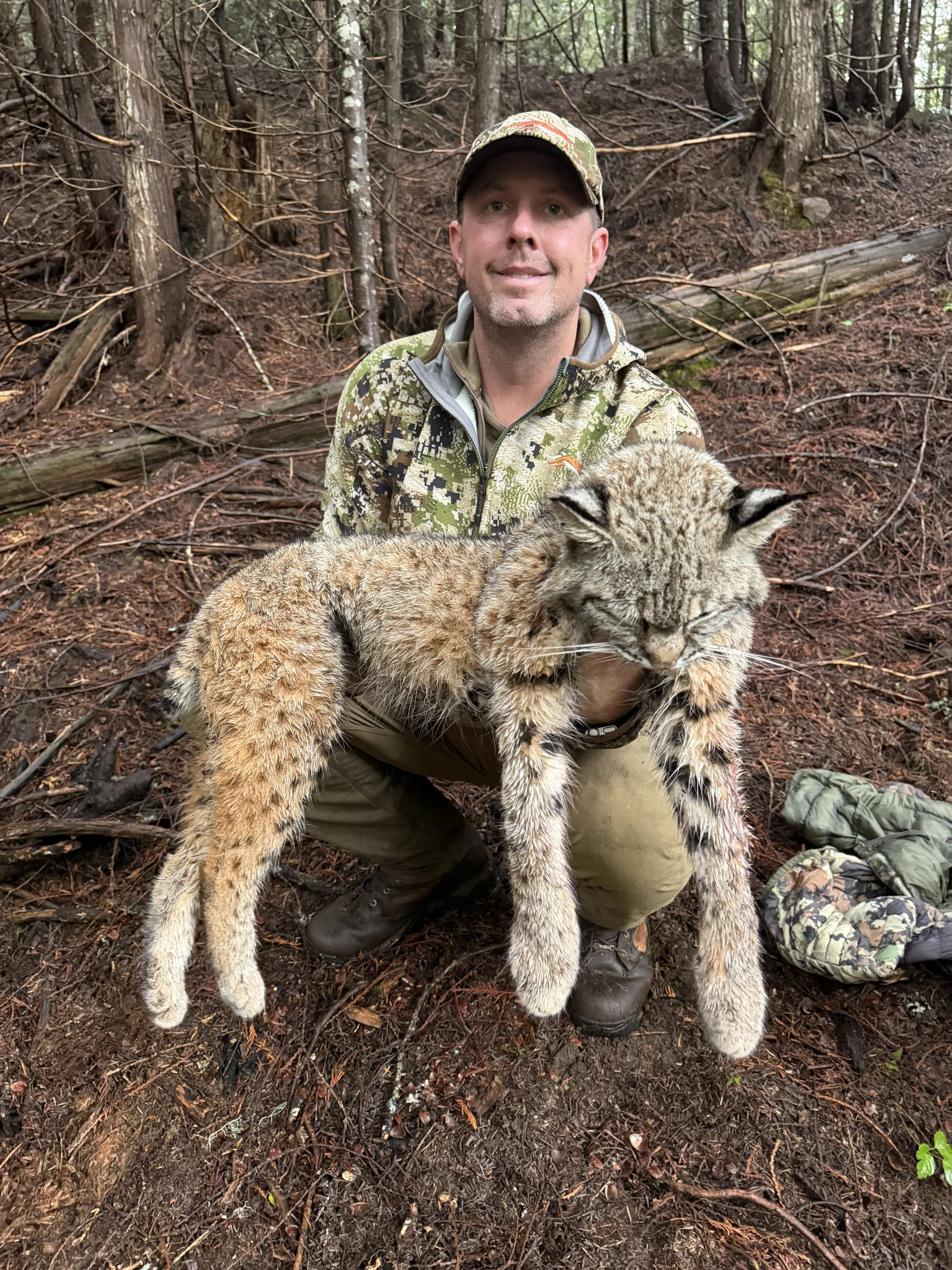 A man in camouflage clothing holding a large mountain lion in a forested area.