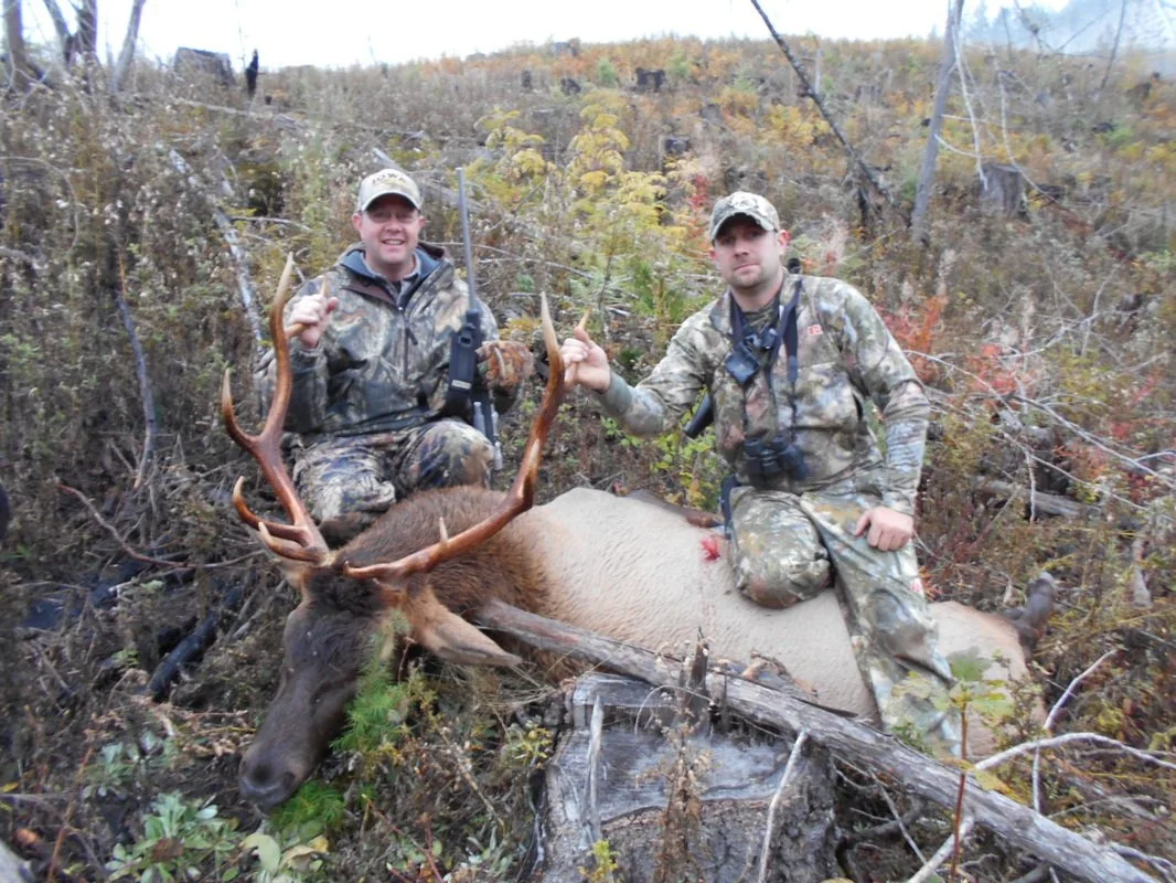 Two hunters in camouflage gear kneeling beside a elk with large antlers in a wooded area during fall.
