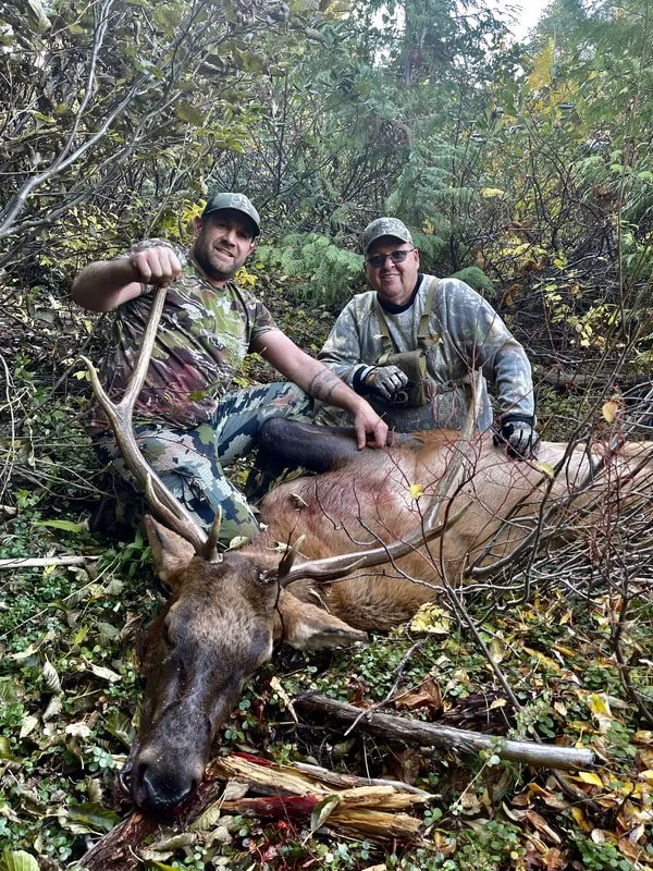 Two hunters in camouflage gear are posing in a dense forest with a large, freshly killed moose, which has significant antlers and is lying on the ground surrounded by branches and leaves.