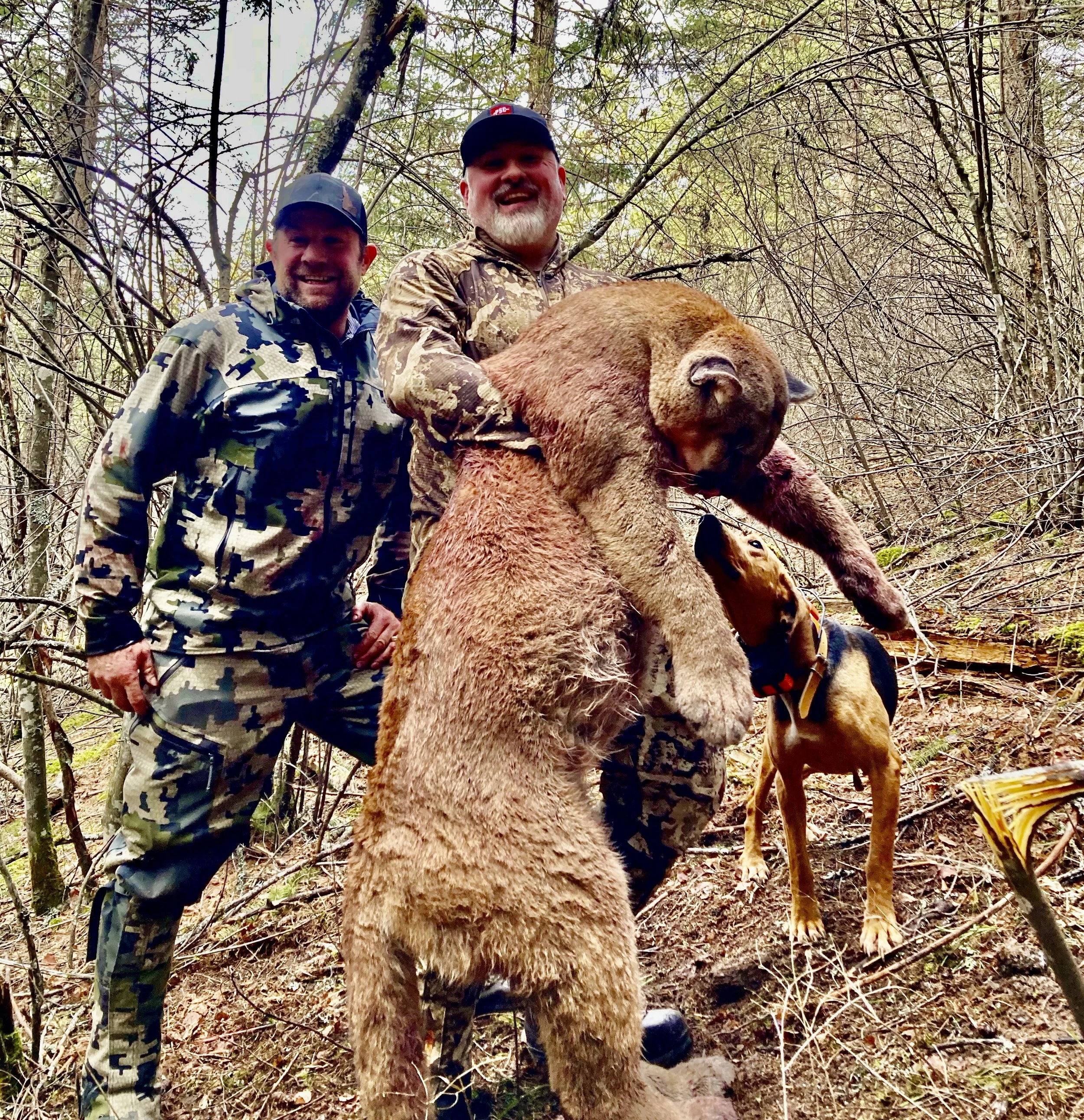 Two men in camouflage clothing and a dog holding a large bear in a wooded area, with trees and branches in the background.