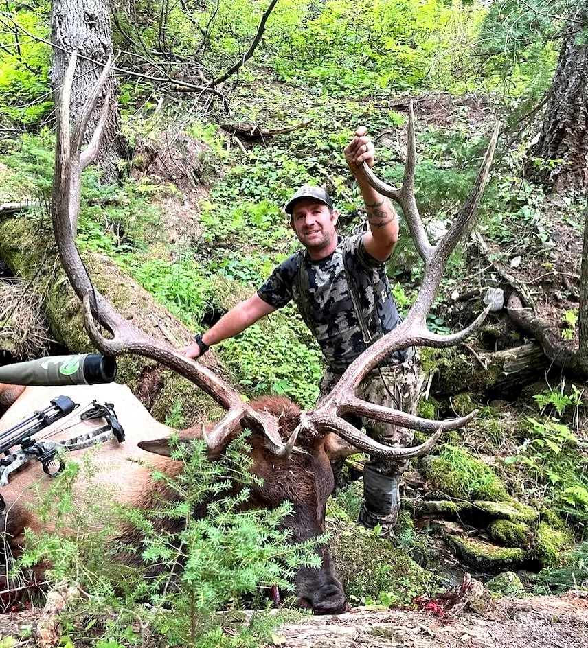 Man standing in a forest holding up a large set of elk antlers on a dead elk.