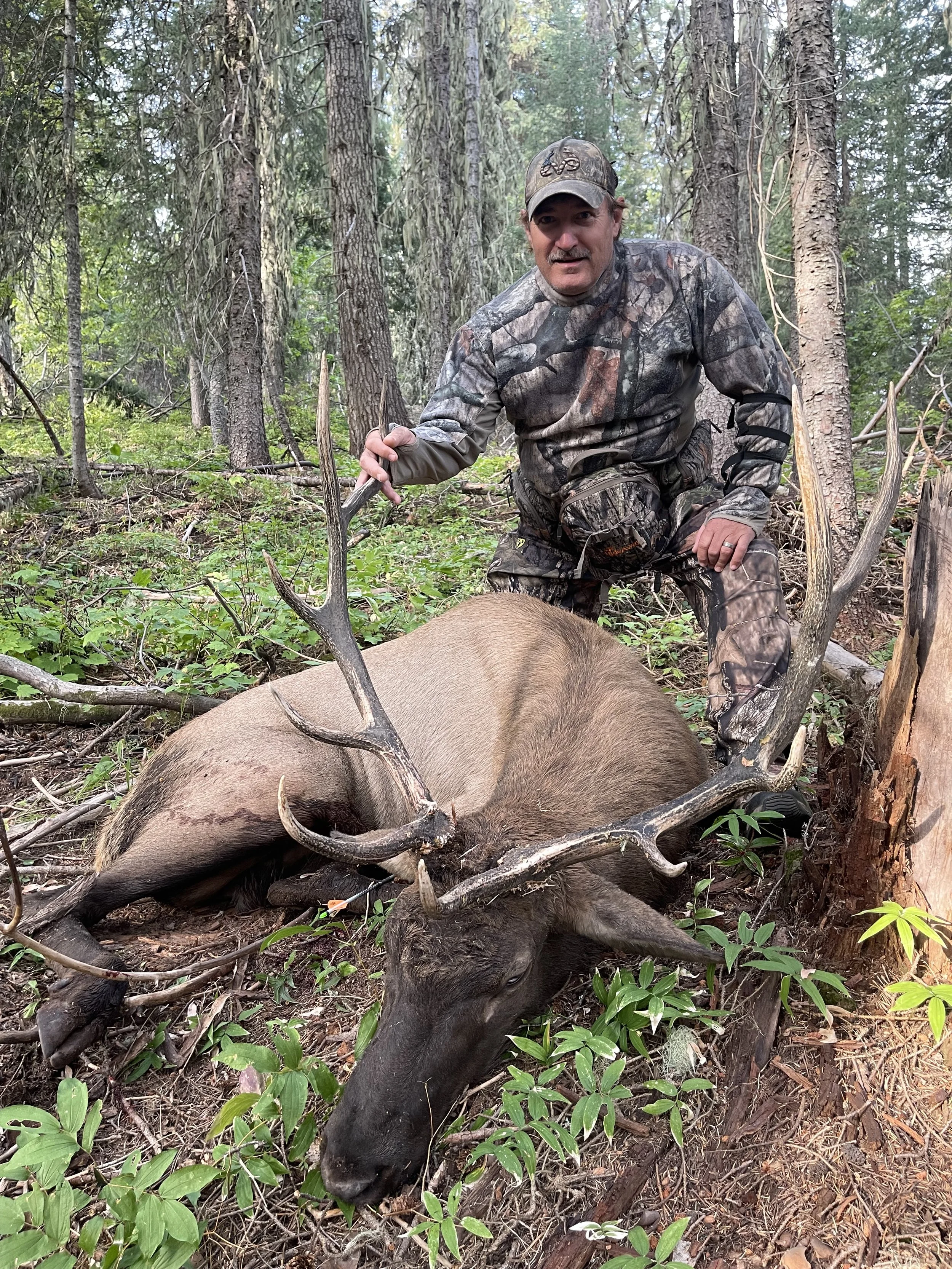 Man in camouflage clothing kneeling next to a large, freshly killed elk with antlers in a forested area.