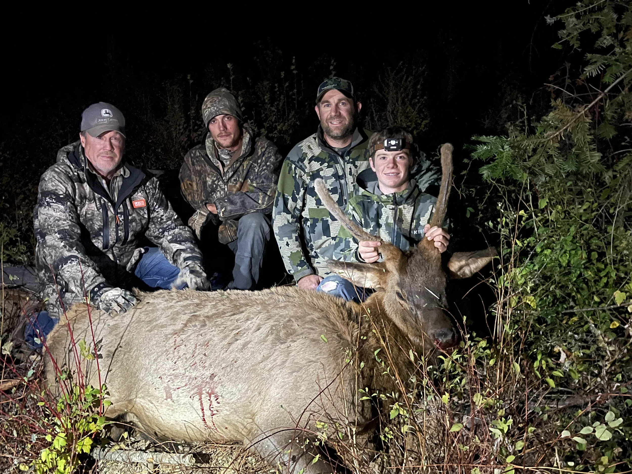 Four men in camouflage clothing kneeling behind a large elk with antlers, posing for a night-time hunting photo outdoors