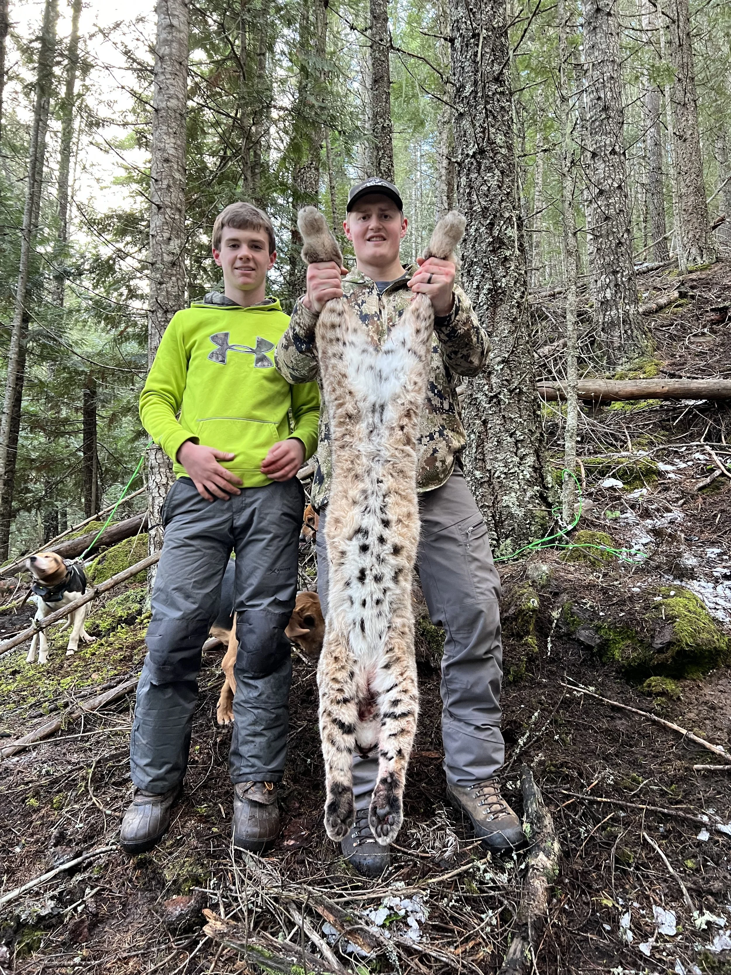 Two young men in a forest holding a large, bobcat by its hind legs. There are trees and two dogs in the background. The men appear to have hunted the bobcat.
