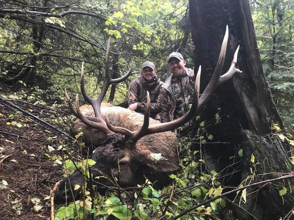 Two men in camouflage clothing posing behind a large elk with impressive antlers in a dense forest.