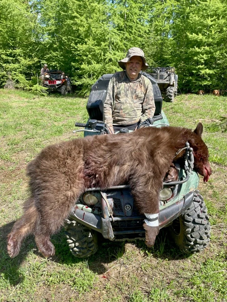 A person in camouflage clothing and a wide-brimmed hat is sitting on an all-terrain vehicle (ATV) in a grassy, wooded area. A large brown bear is draped over the front of the ATV, appearing dead or injured. In the background, another person is seen n